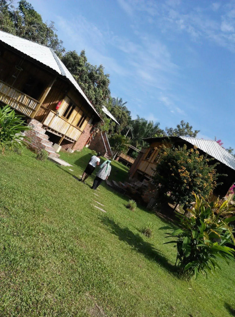 The Roots Eco Resort