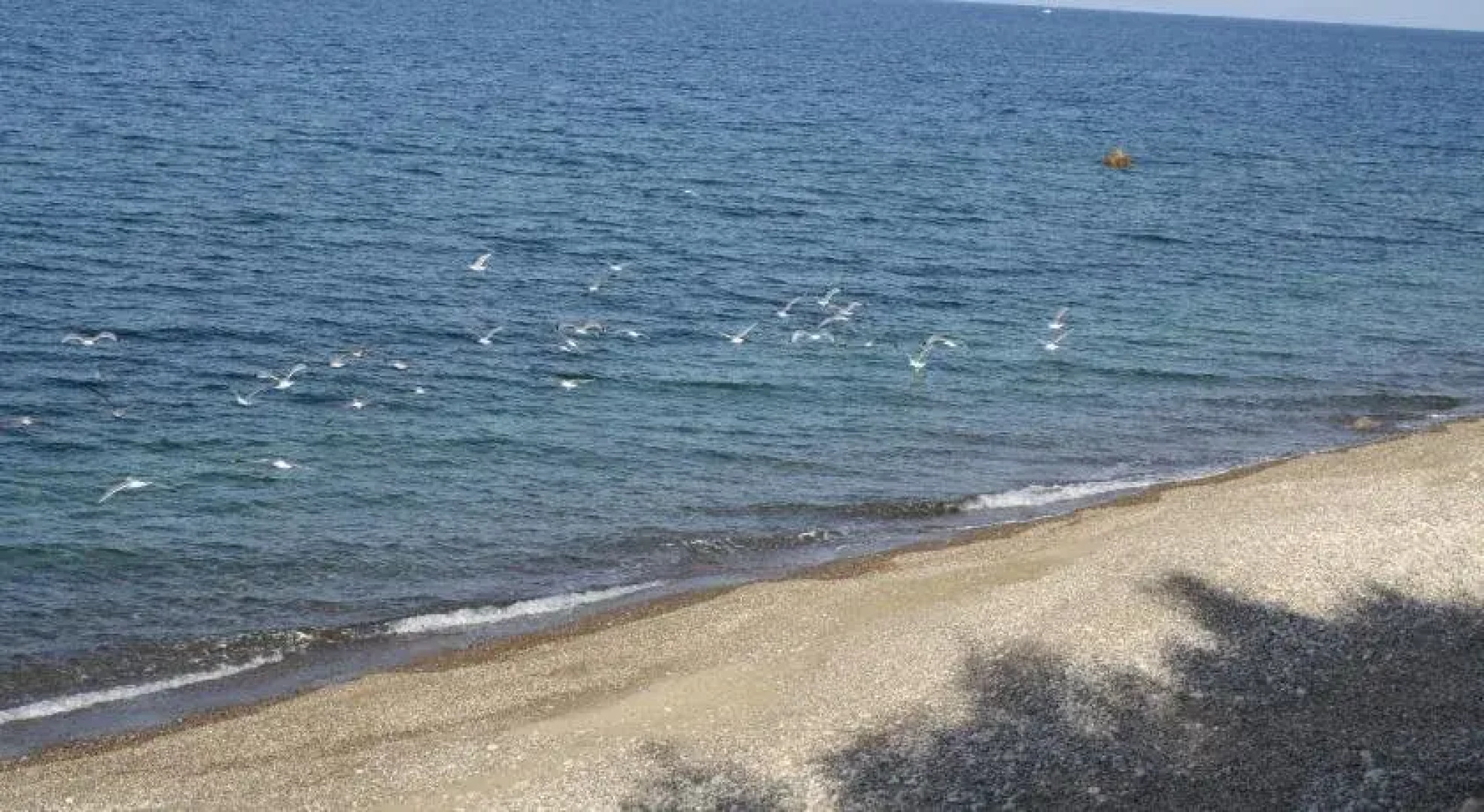 Camere & Casa Vacanze Lo Scoglio