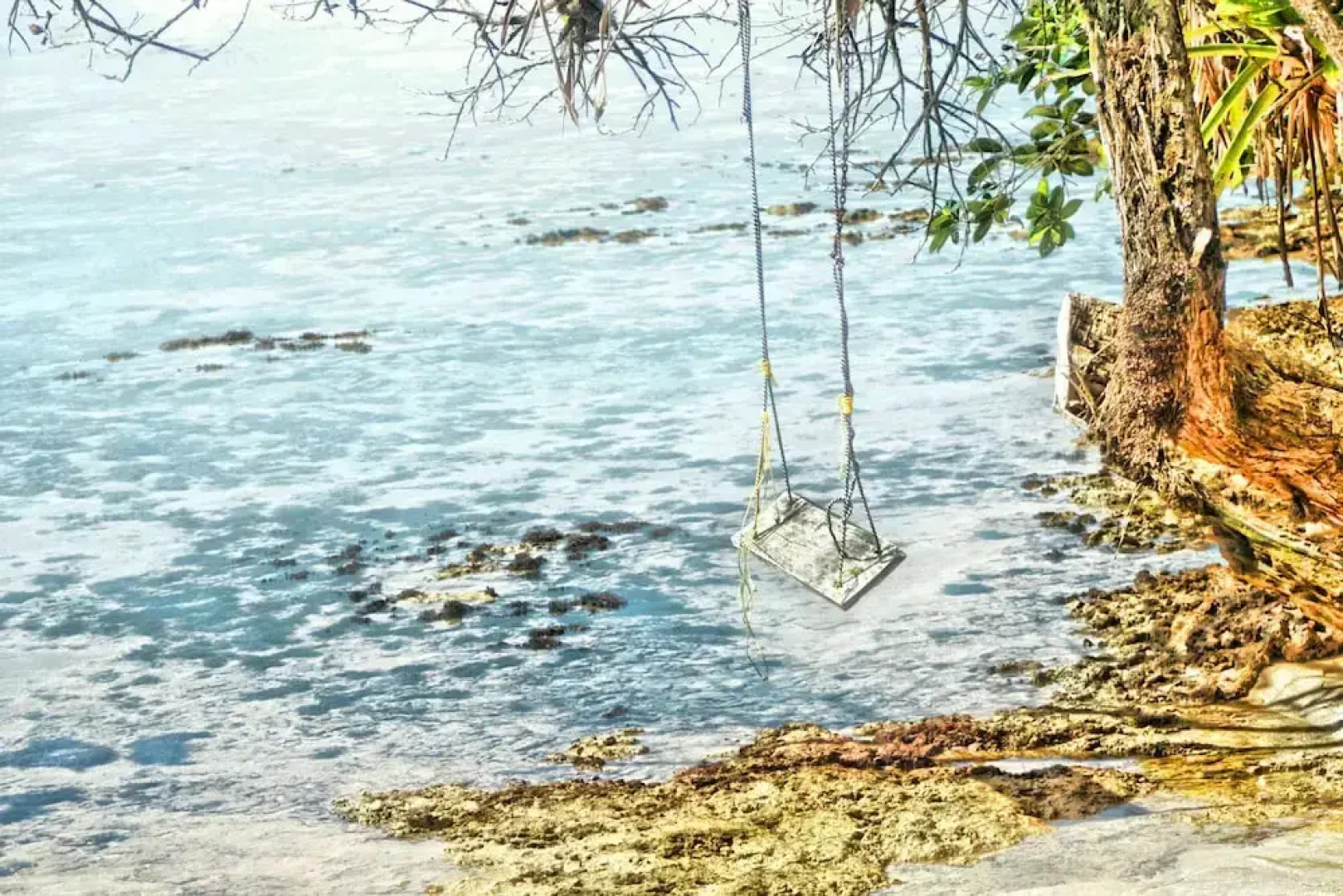 Mosana reef garden B&B