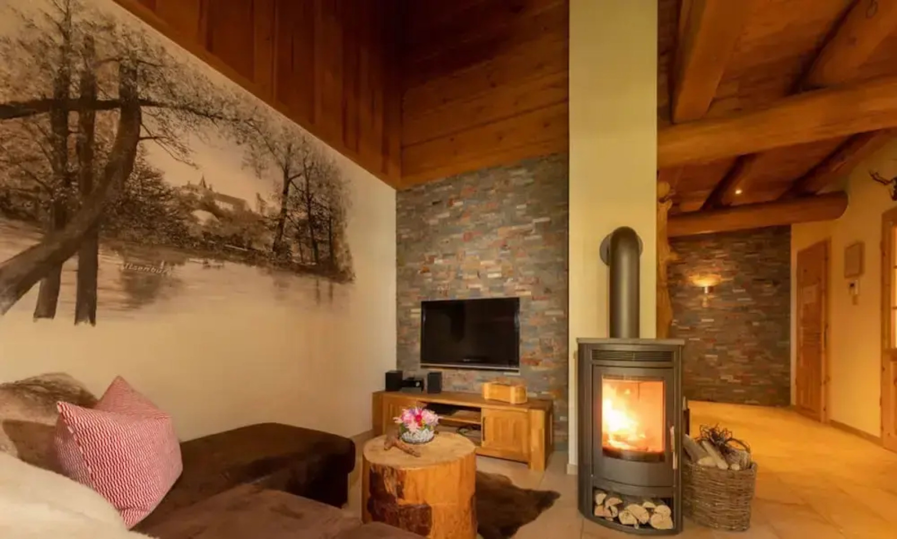 To Salamander No. 15a