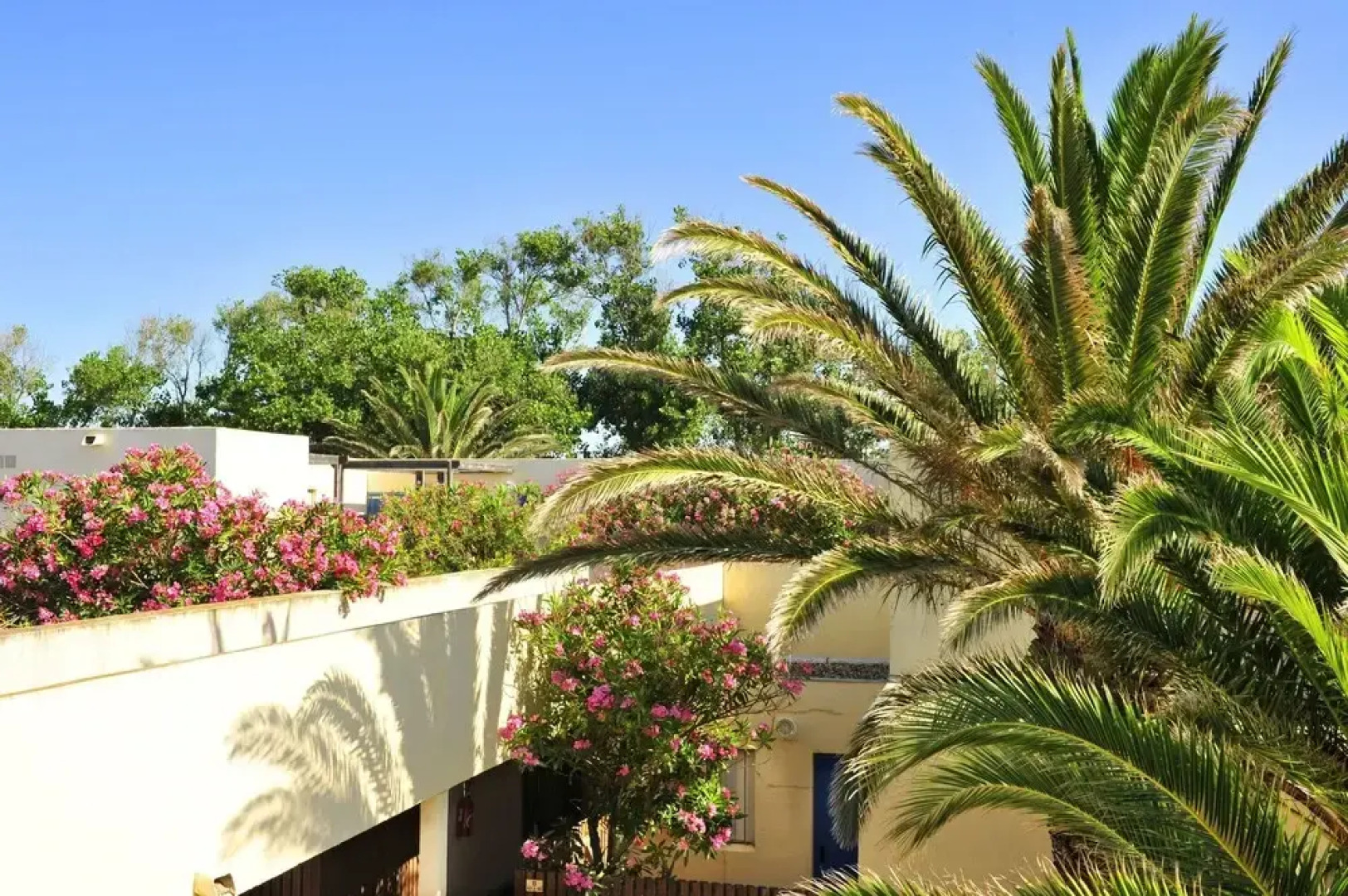 VVF Club Intense Les Portes Du Roussillon Le Barcarès