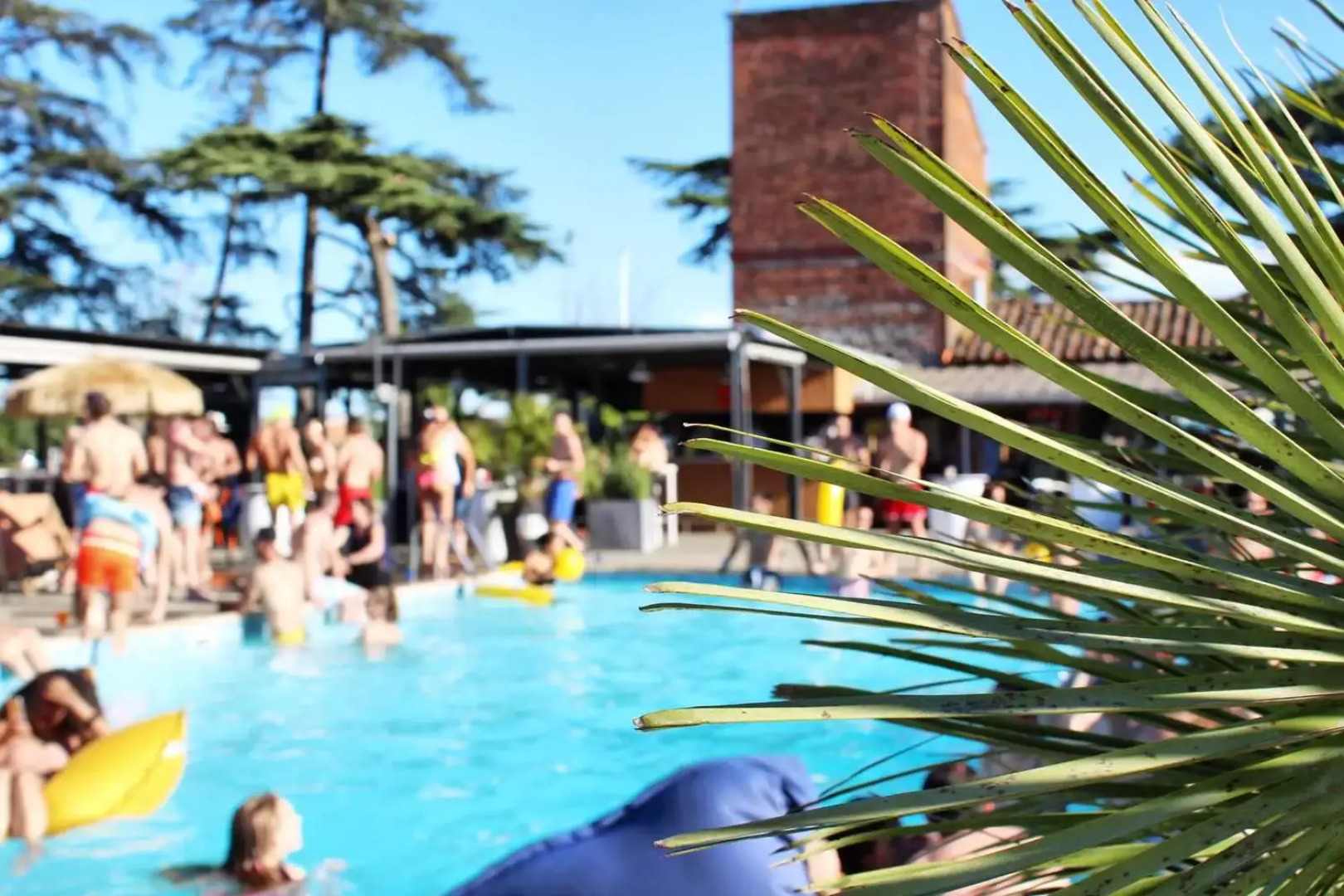 Le Canard Sur Le Toit