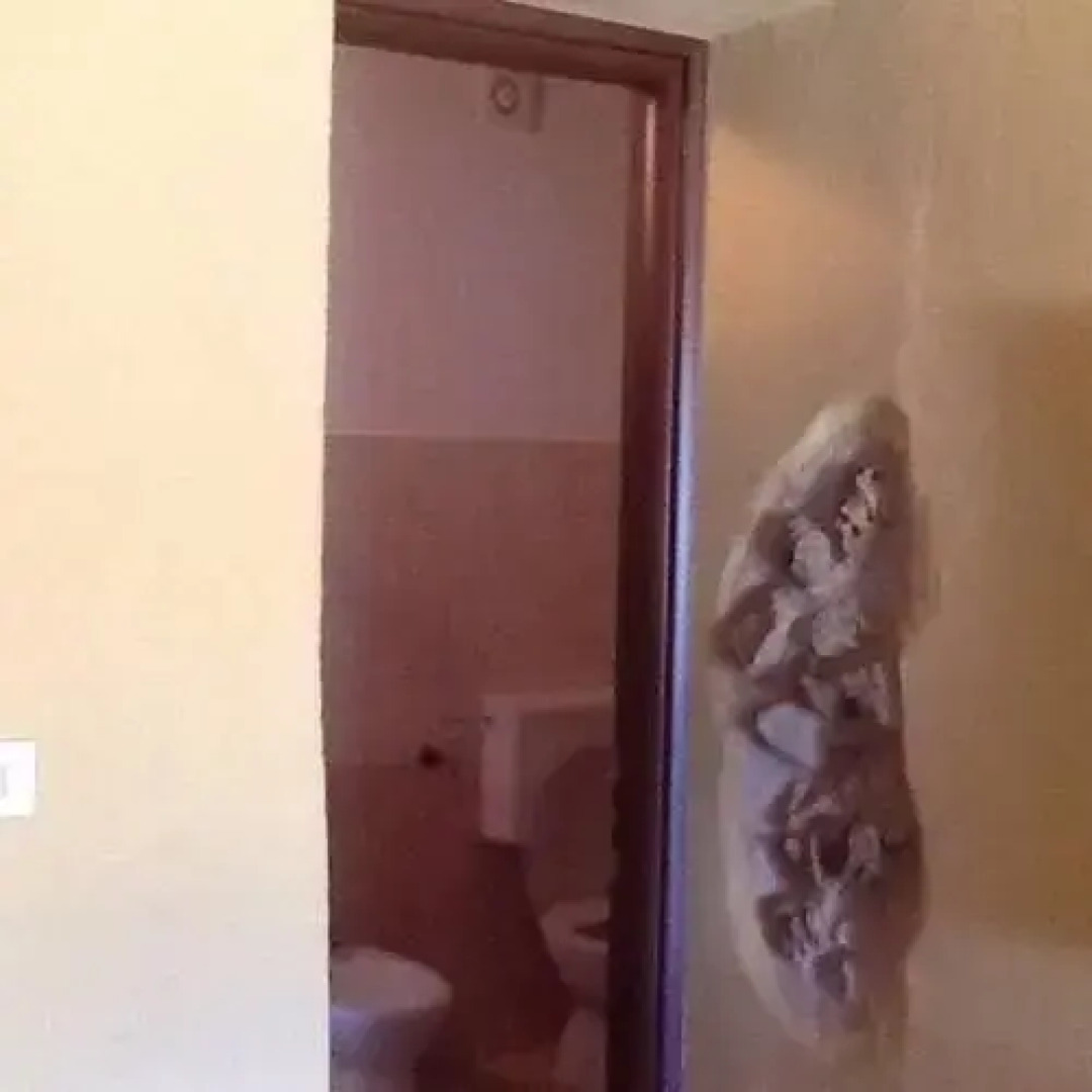 Holiday Home Tartaruga Elfo