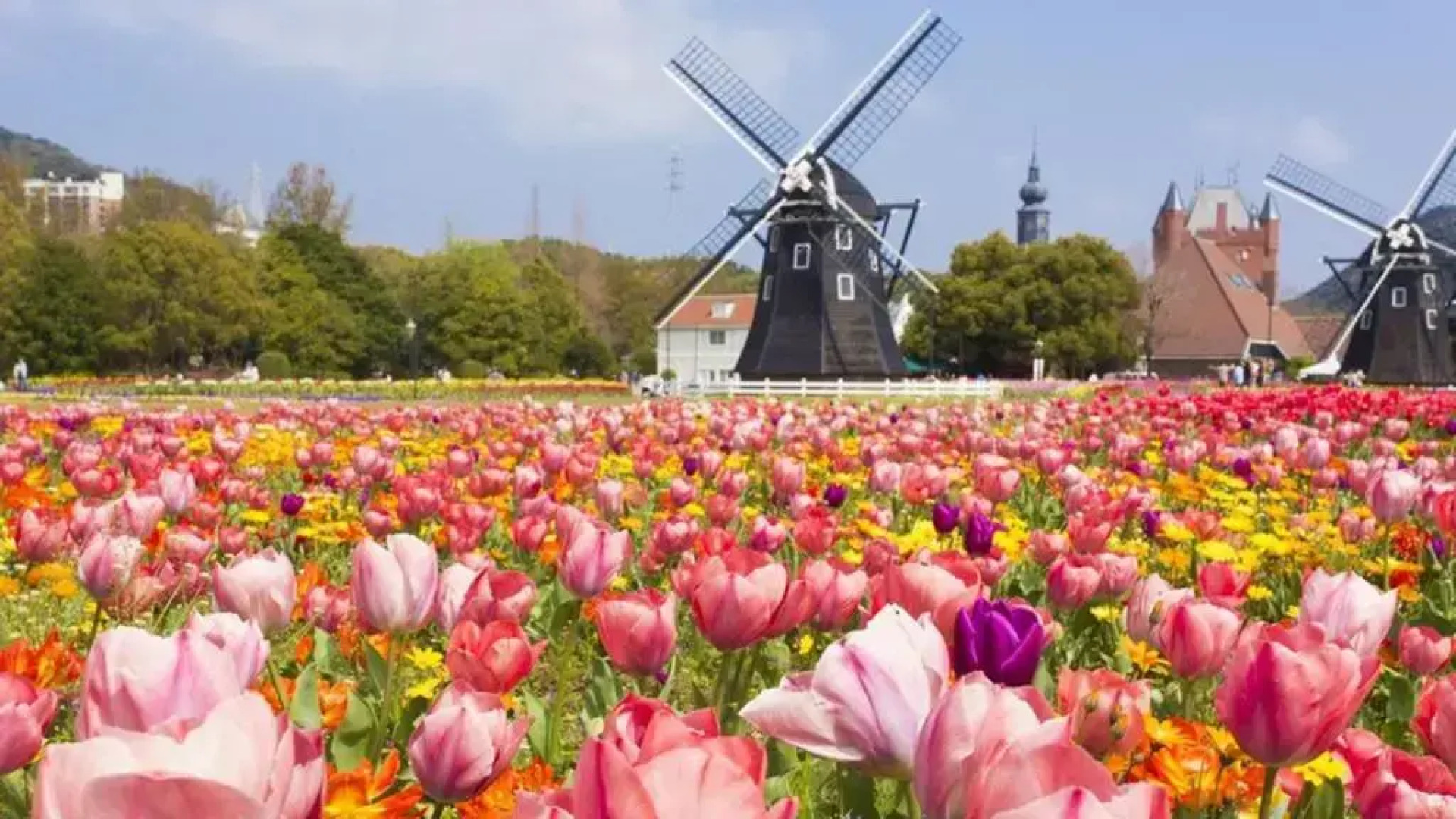 Omura Yasuda Ocean Hotel