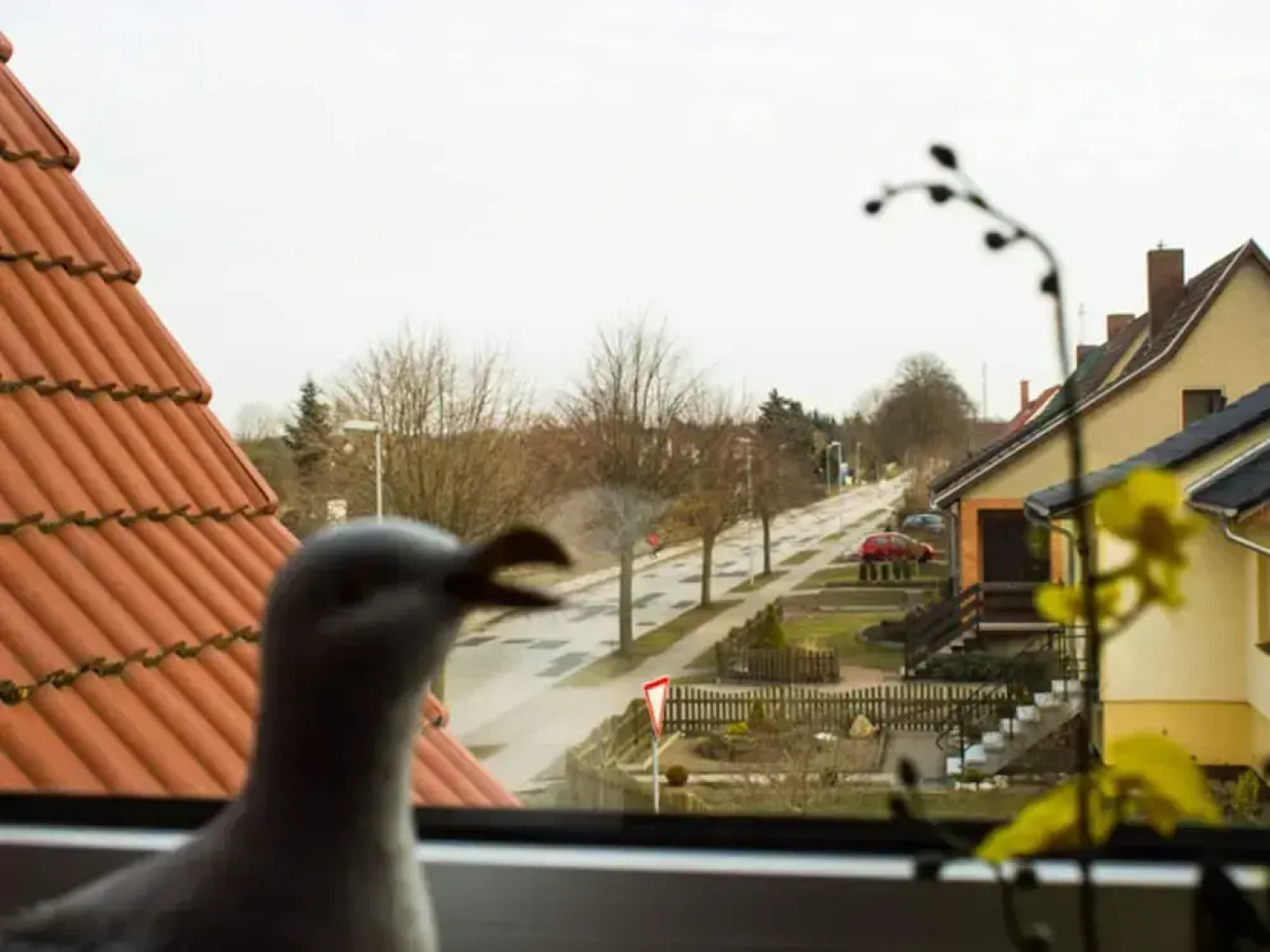 Restful Apartment in Neukloster Germany near Lake