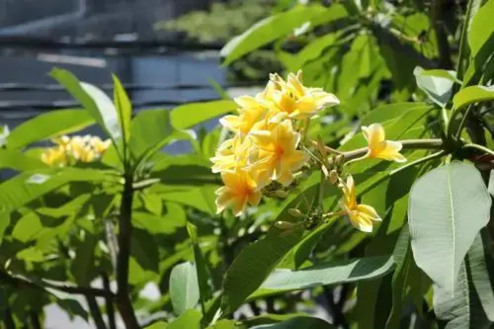 Beachbums Berawa Hostel