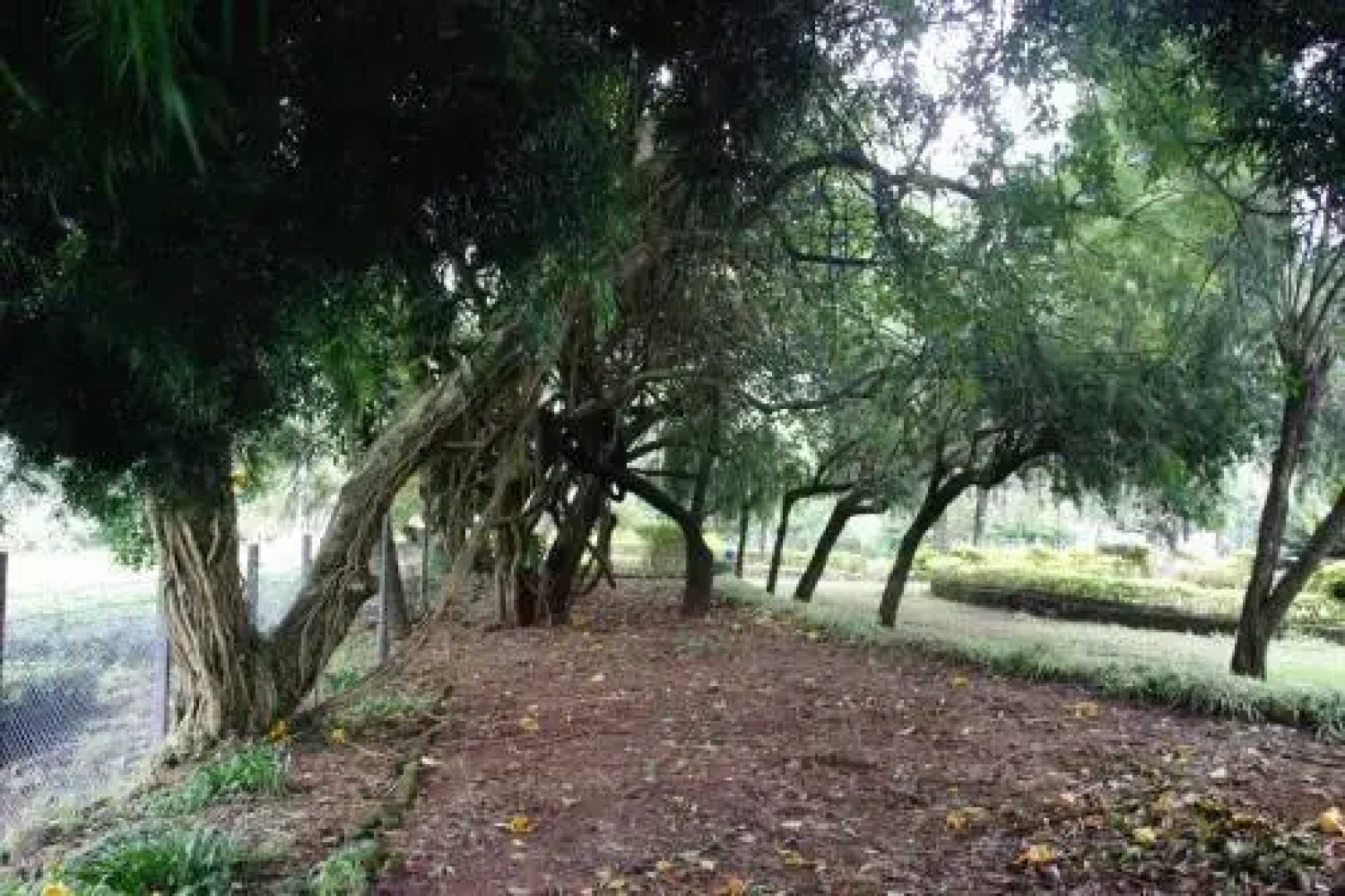 Marsh Villa Luxury Resort