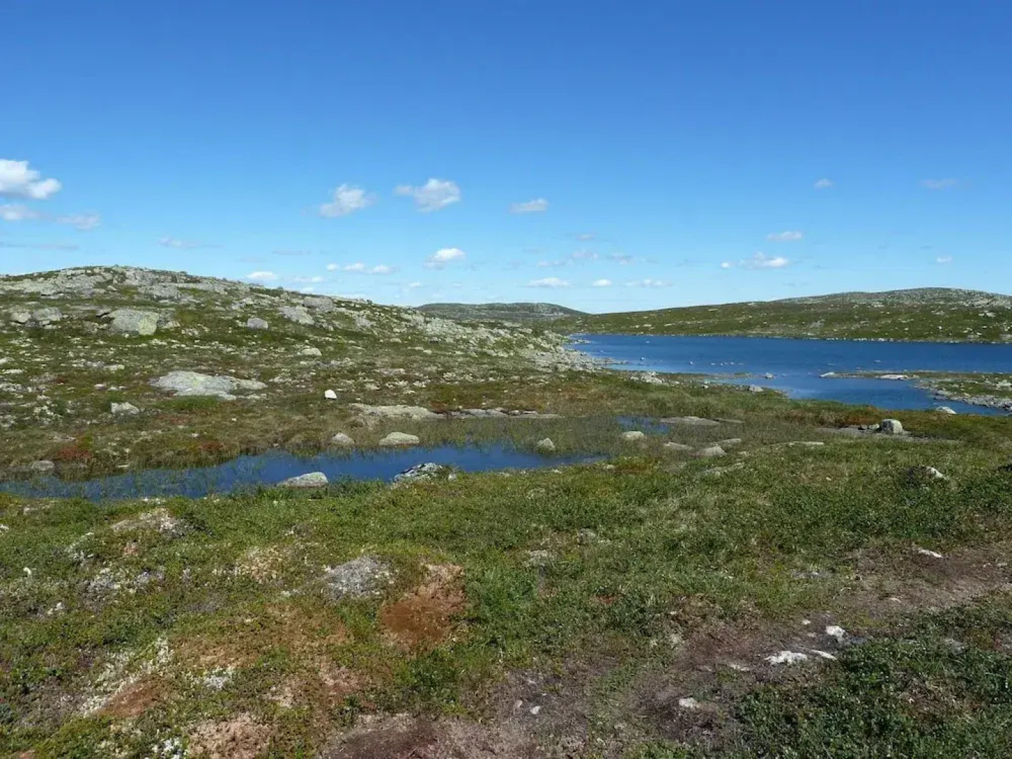 Furulie Cabin - Flå
