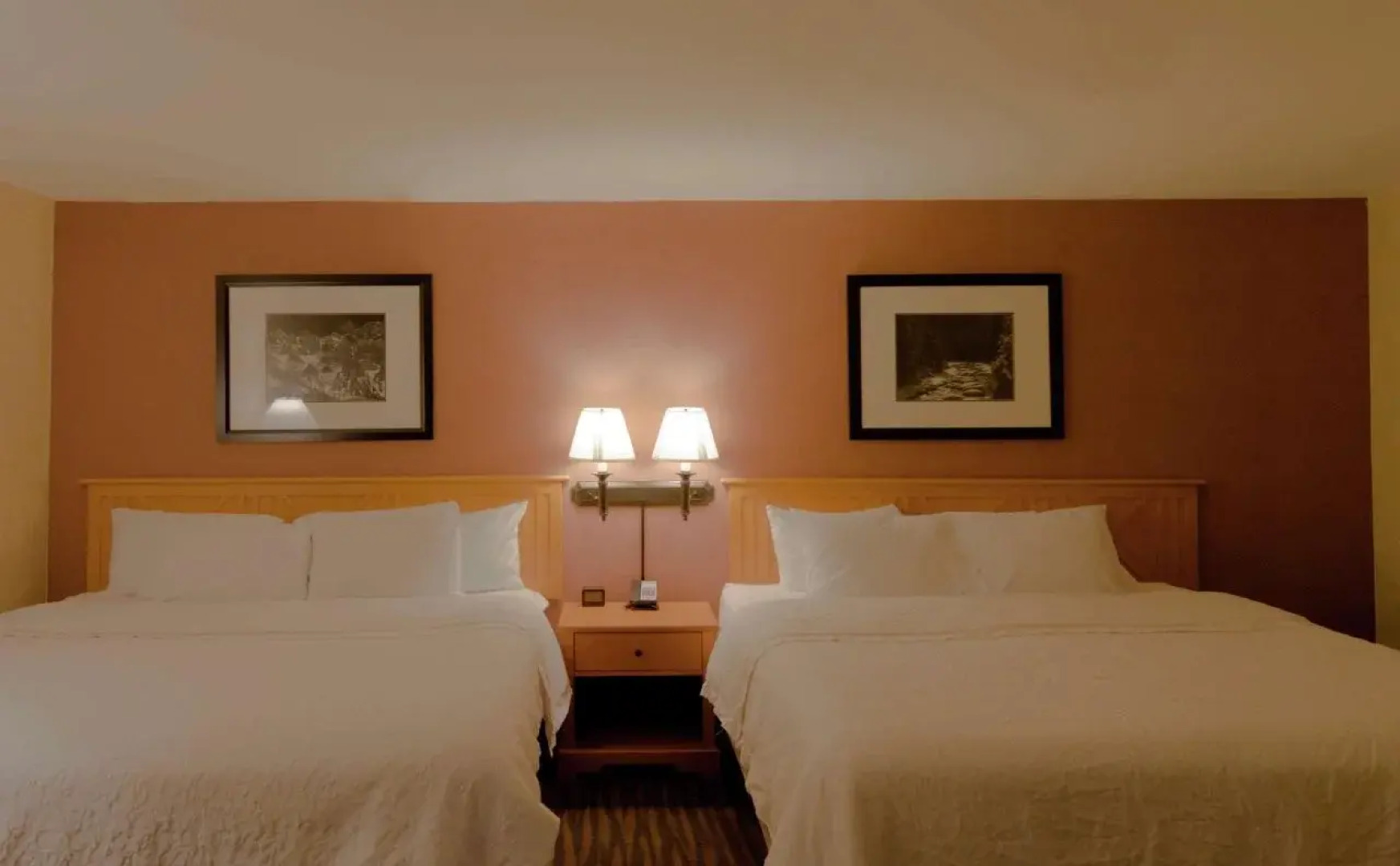 Hampton Inn and Suites Steamboat Springs