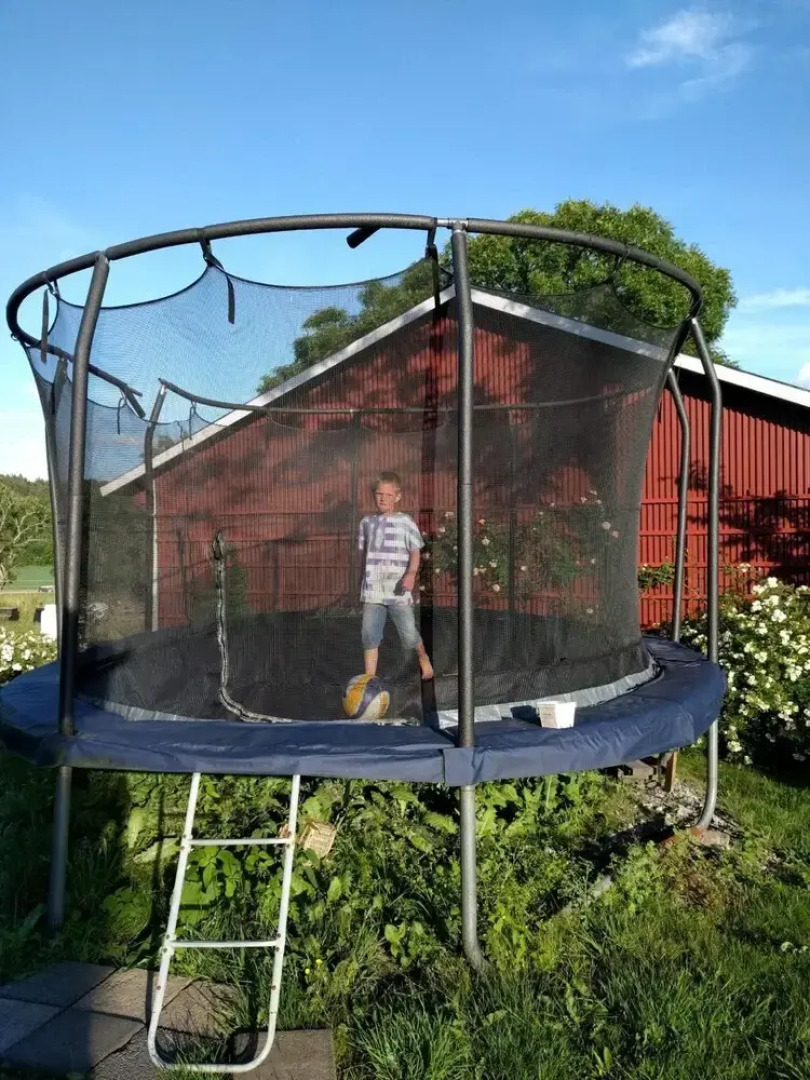 Lekanders Bär & Boende