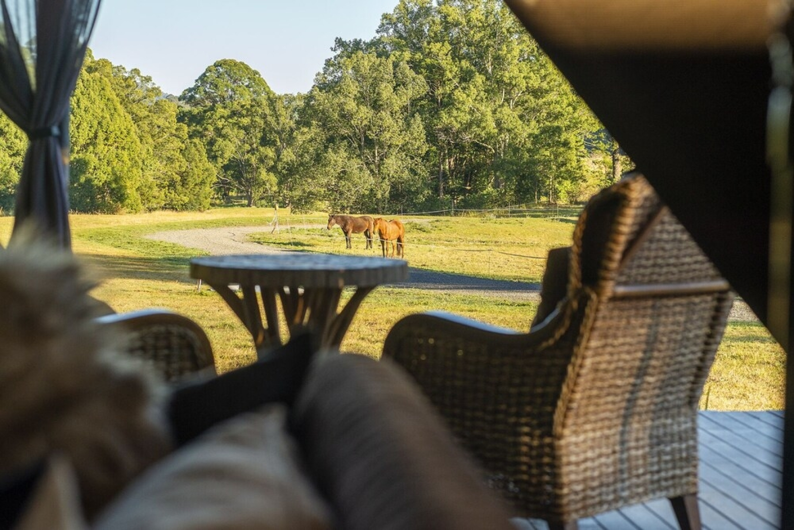 Kanimbia Luxury Glamping