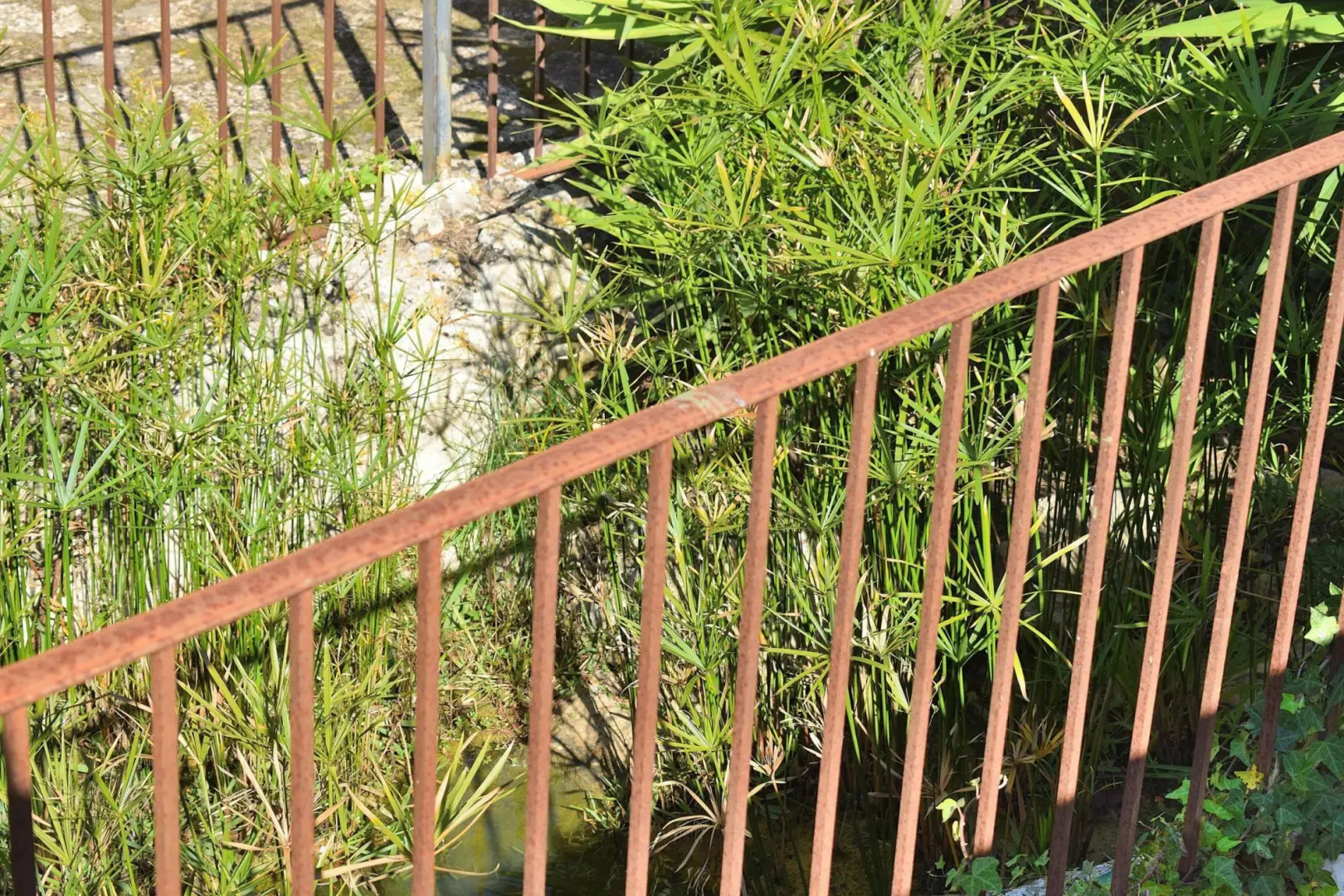 Finca Mercedes 057 by Mallorca Charme