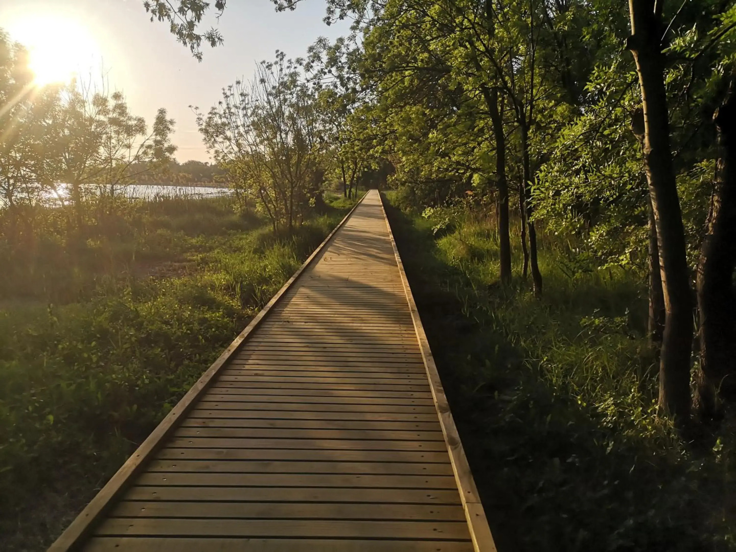 Sweet Apartment With Private Pool Lori Ankaran