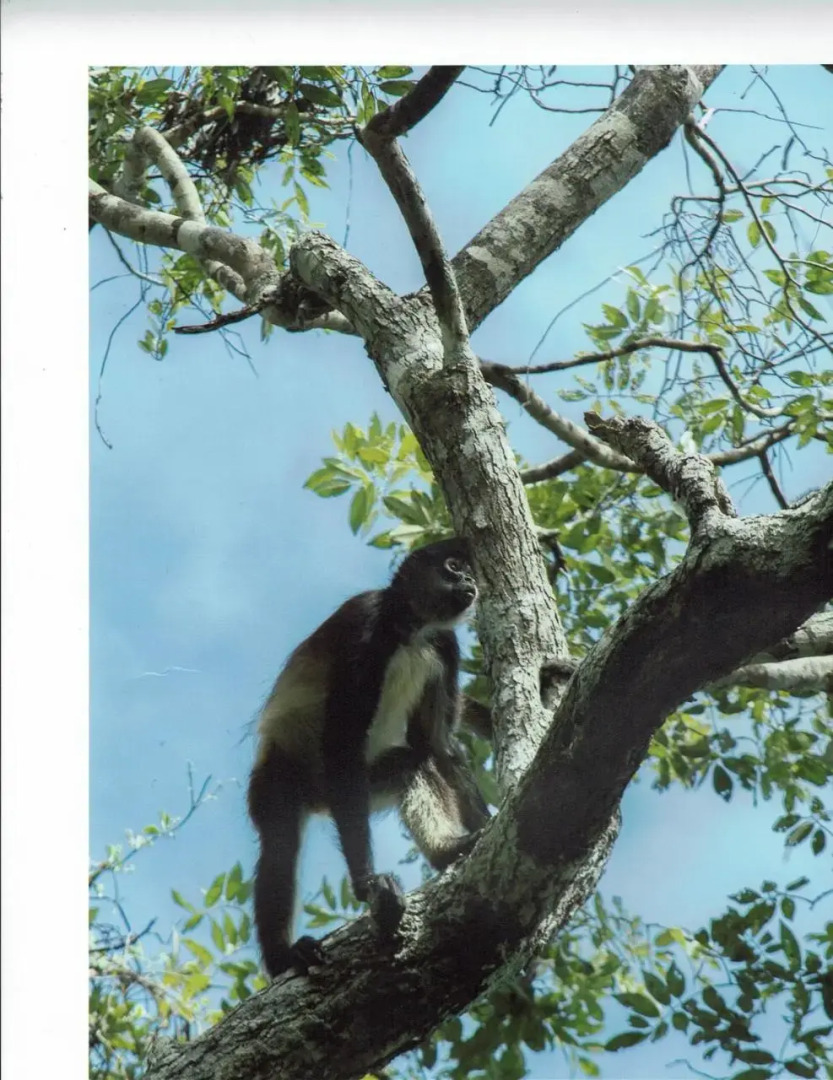 Posada Los Reyecitos