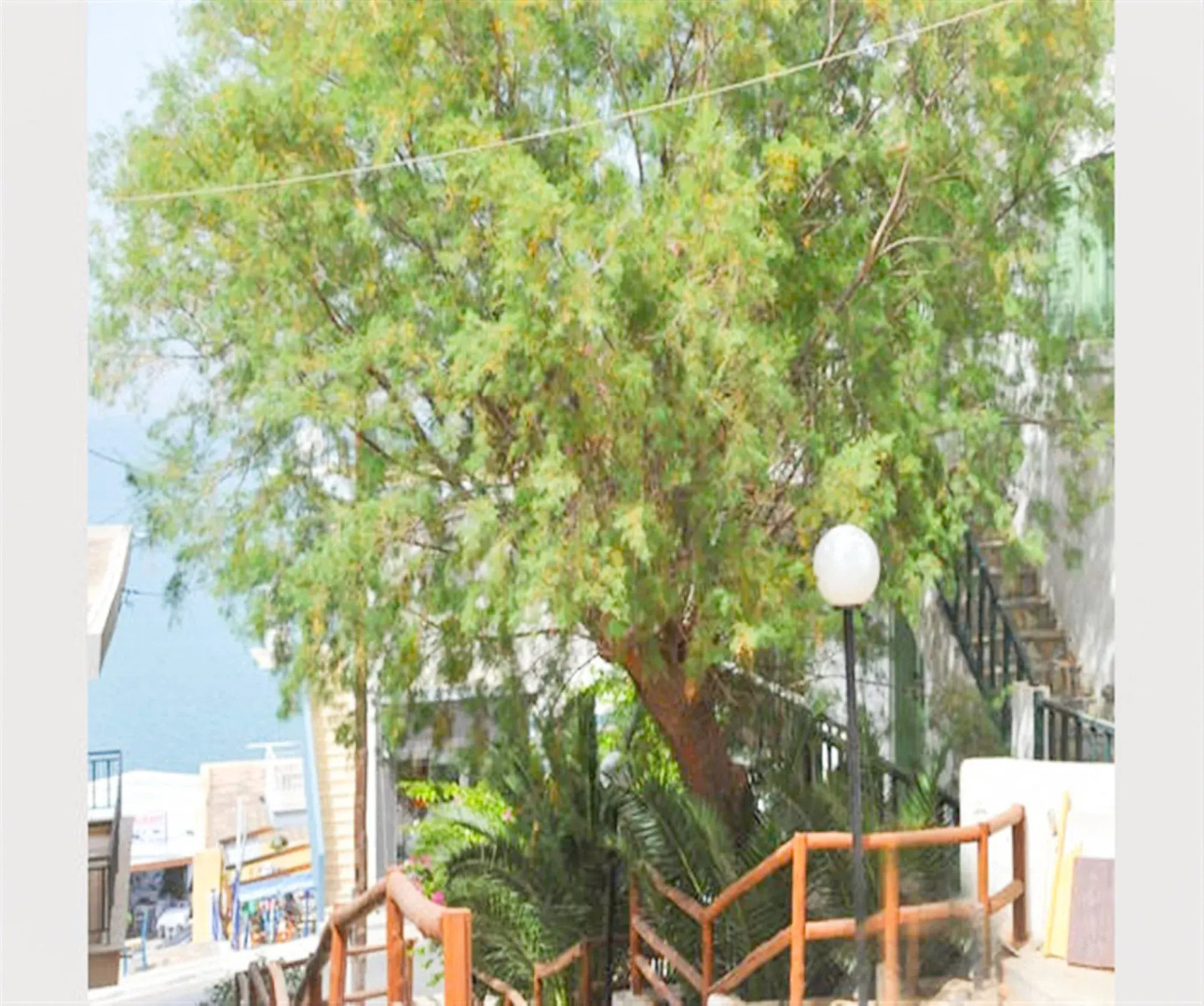 Elounda Apartments