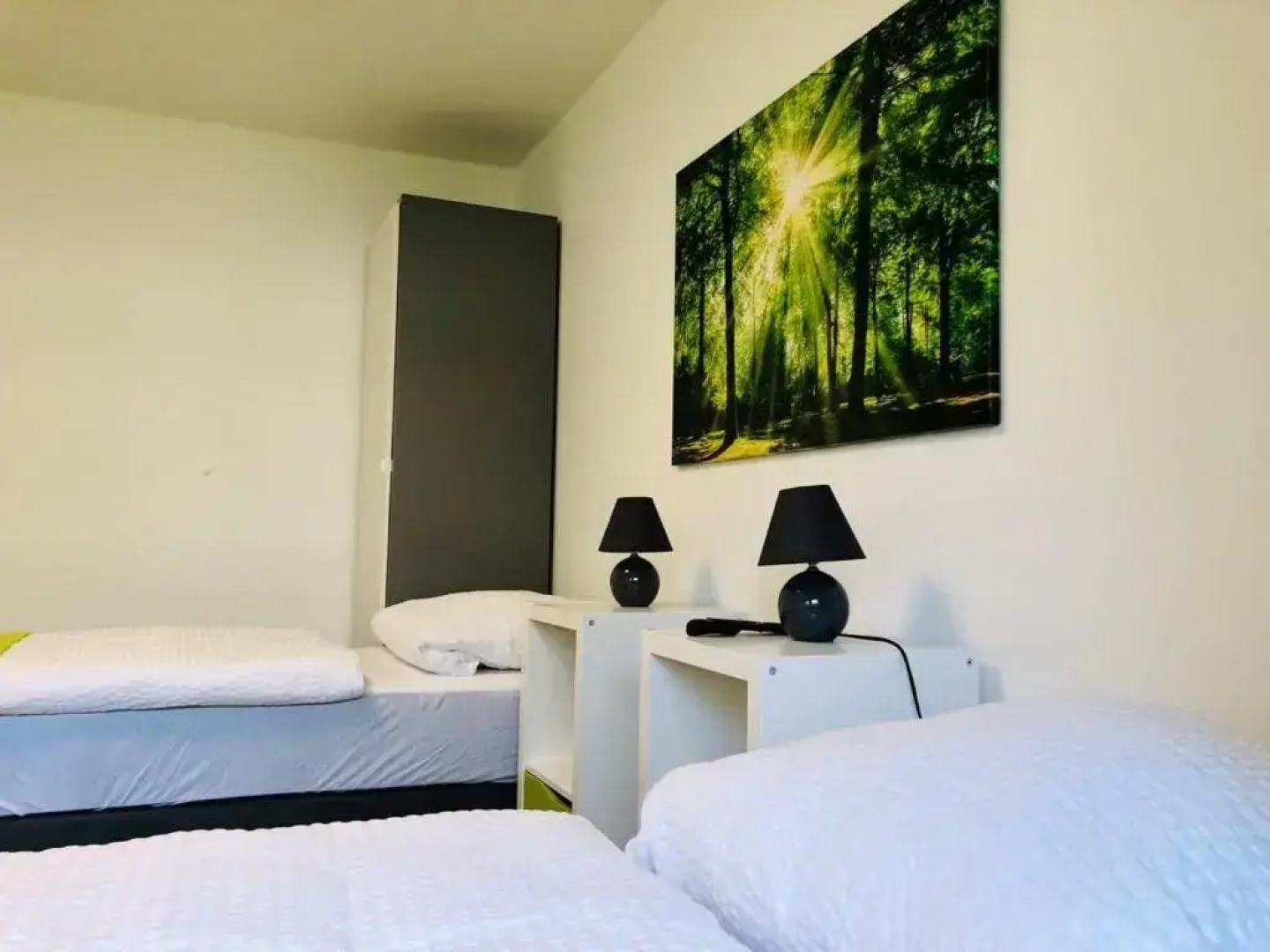 Zimmervermietung38 - Wild 1