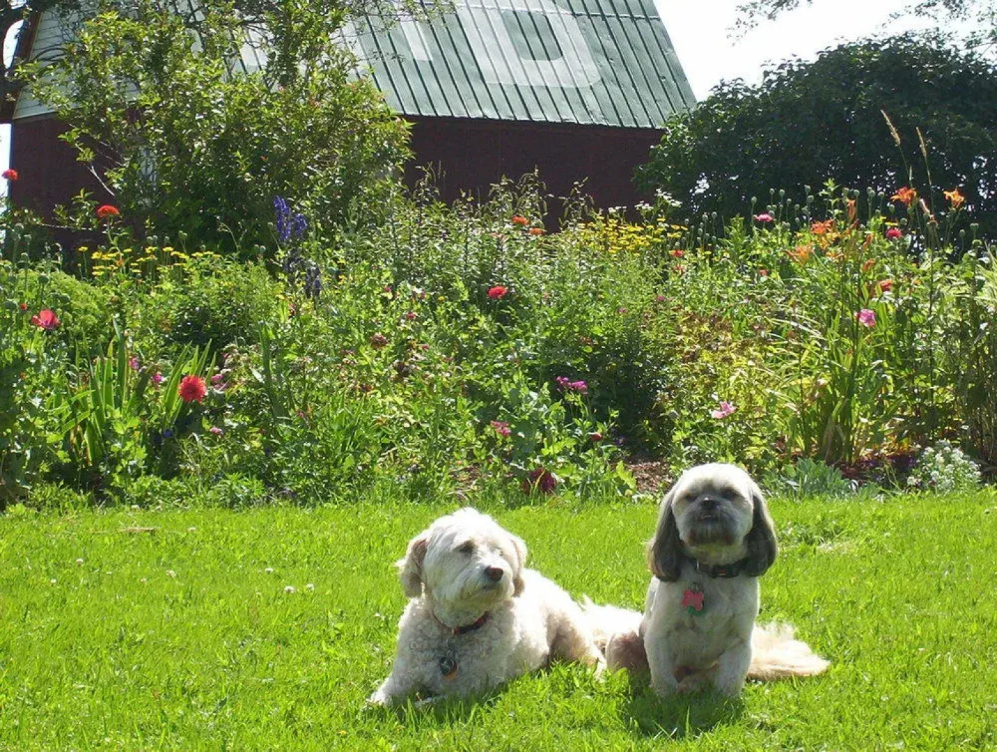 English Experience Bed and Breakfast