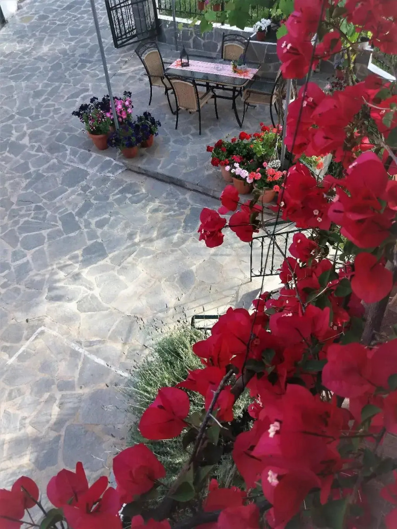 Ziogas Luxury Apartment's