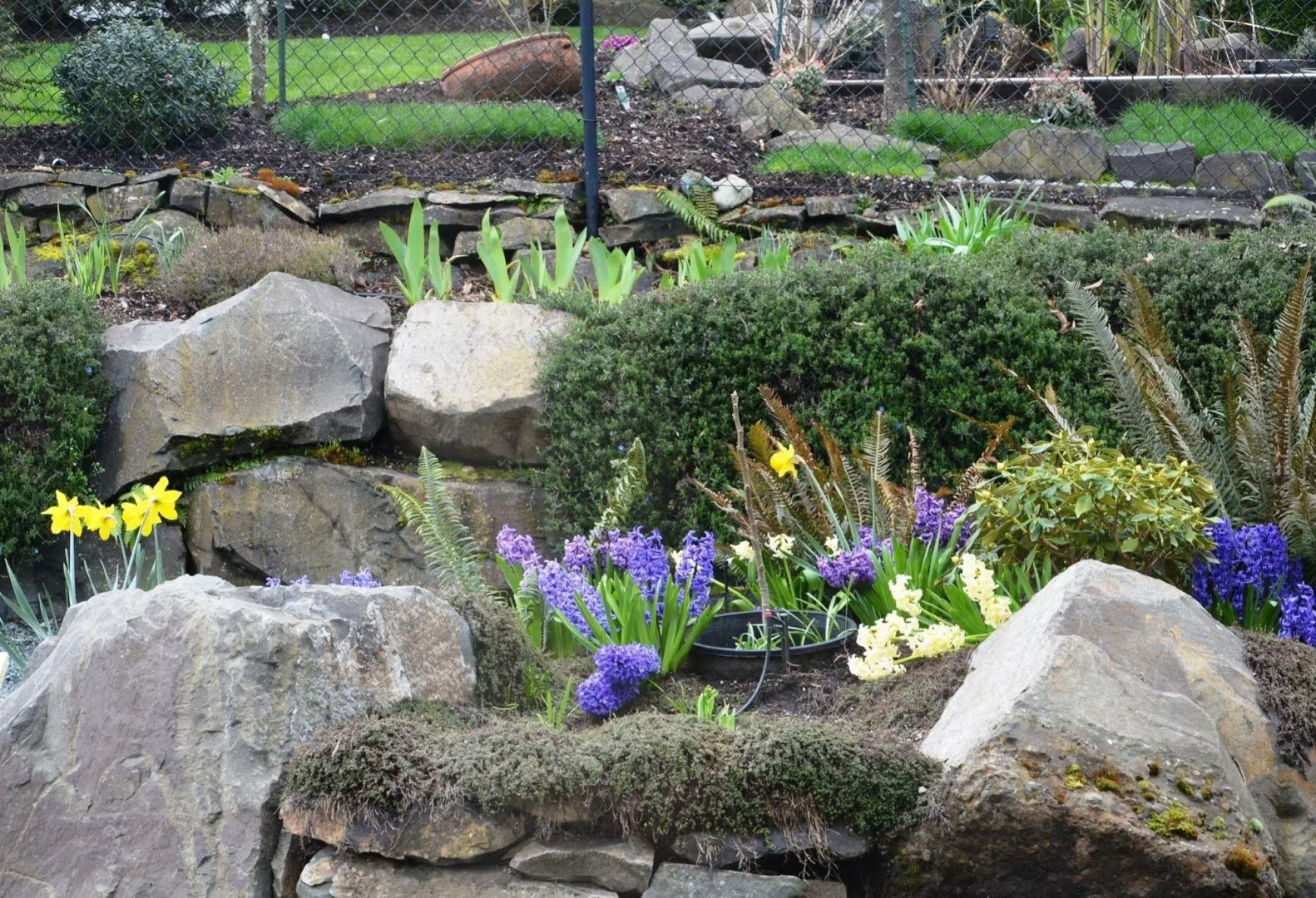 Eagle Rock Bed and Breakfast