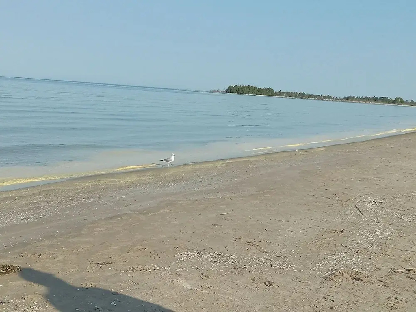 Sauble River Marina & Lodge Resort