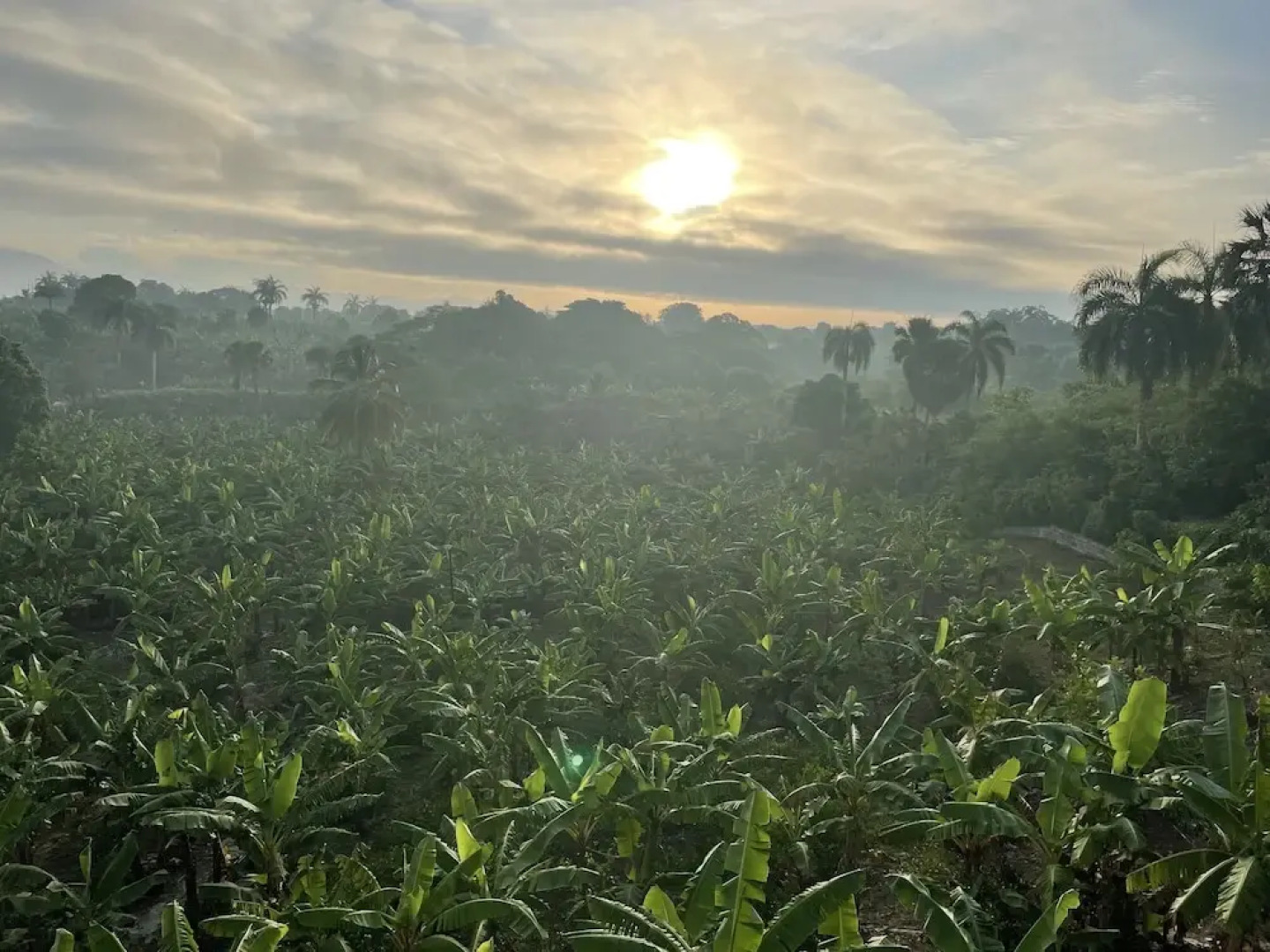 Complejo Ecoturistico Rancho Cielo