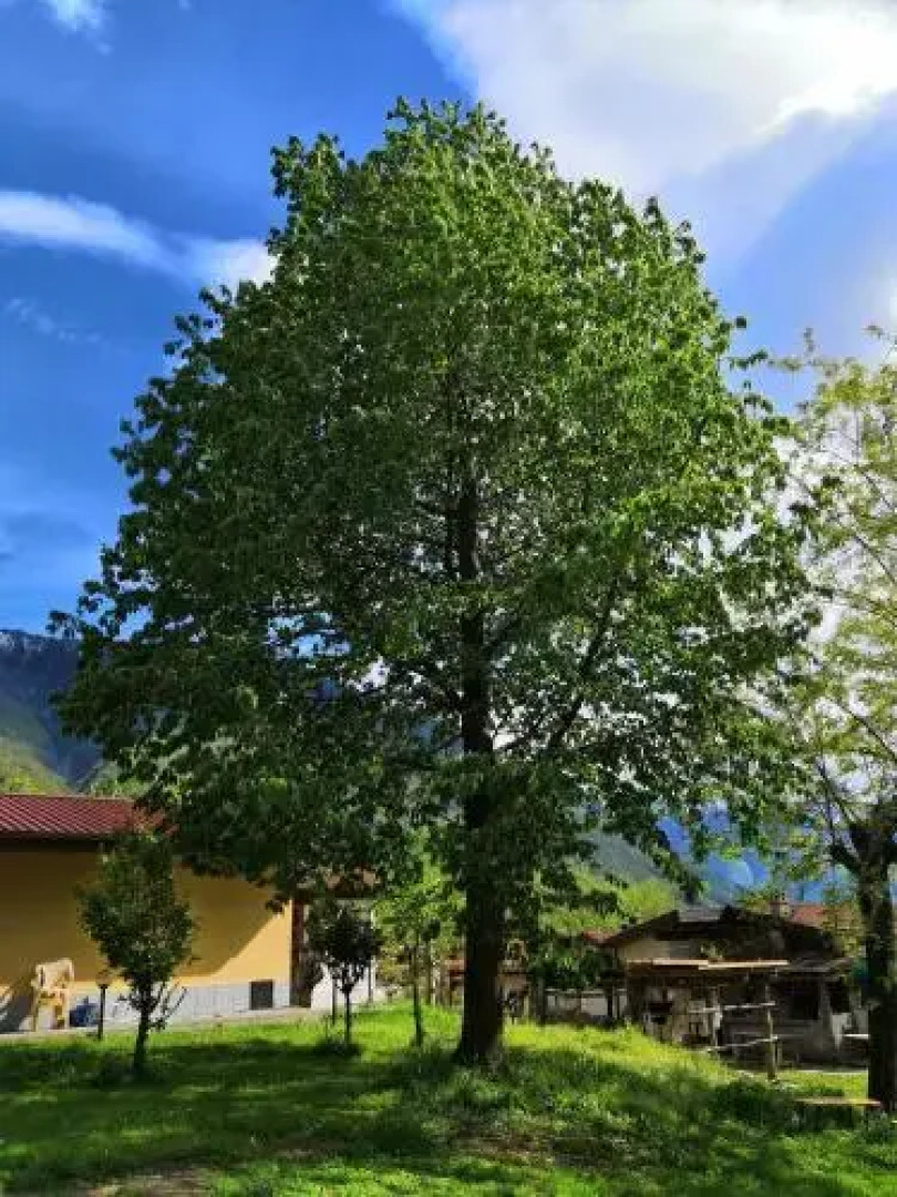 Agriturismo Val Codera