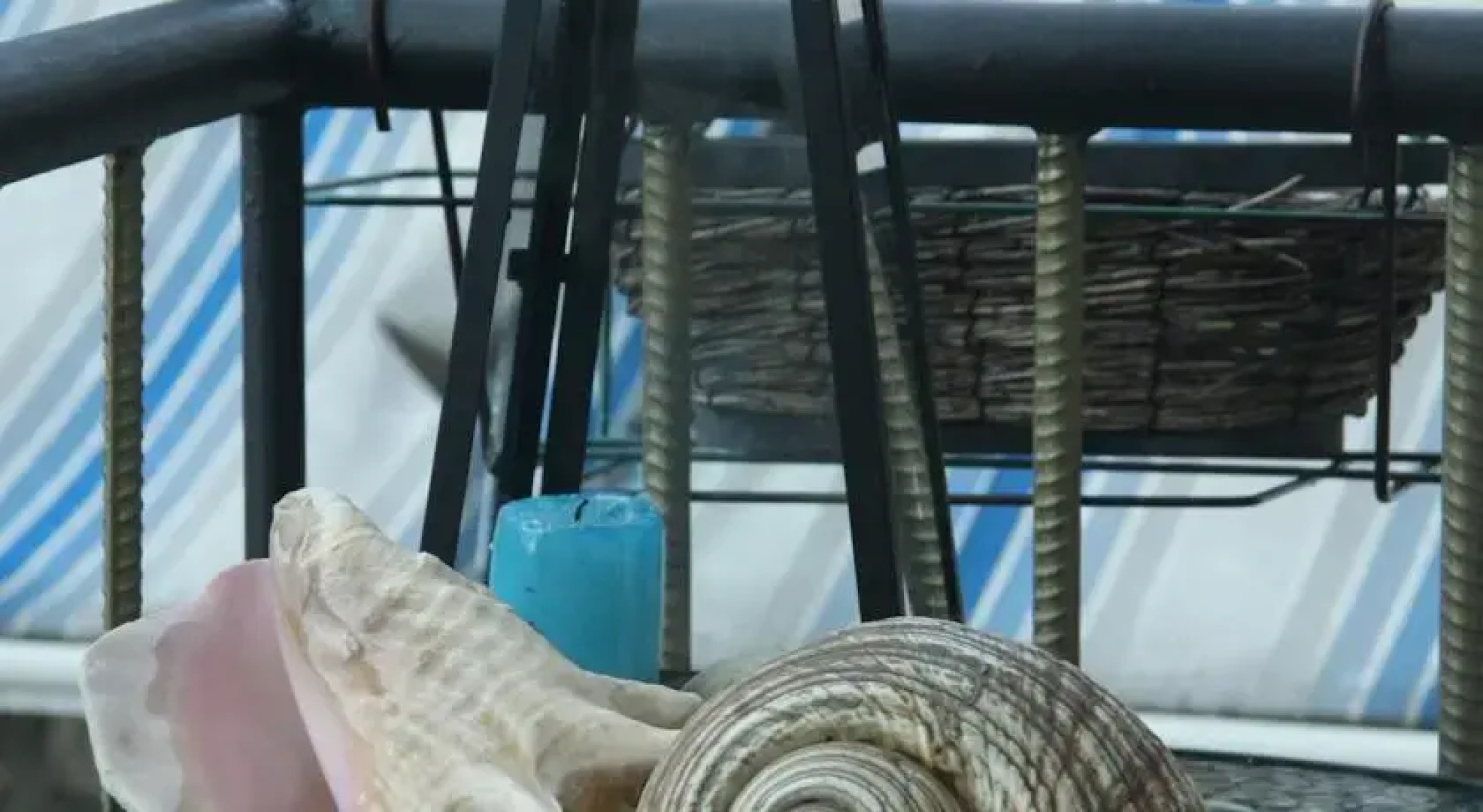 Apartments San Marco