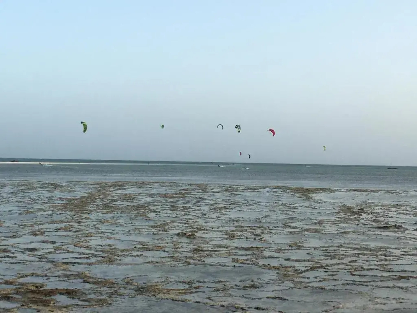 Pole Pole Beach House