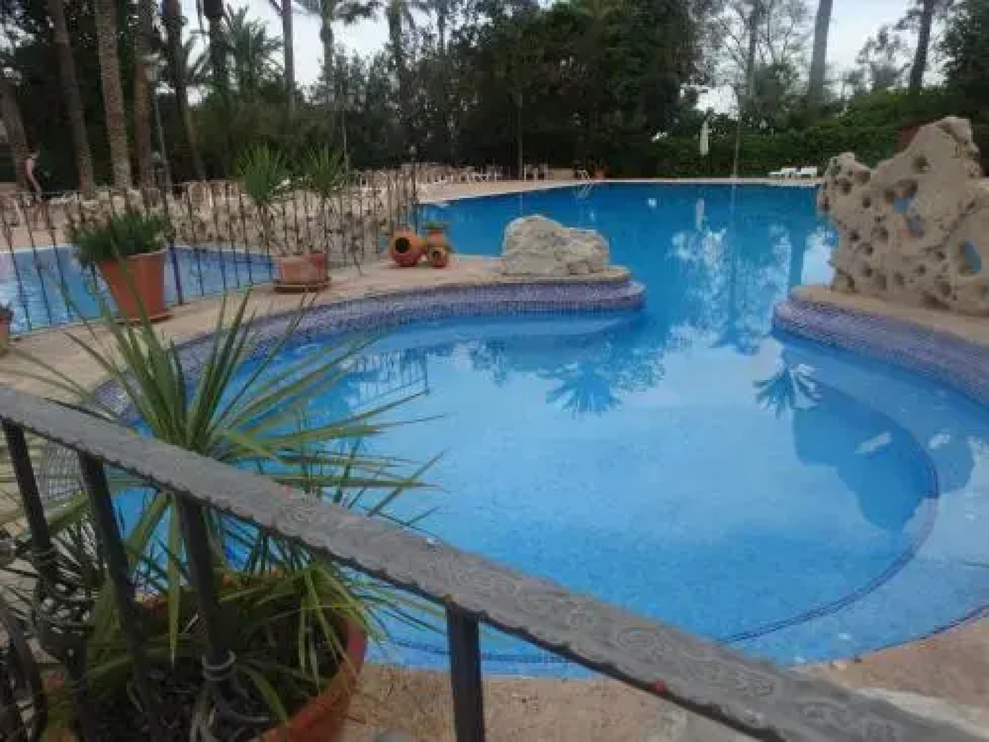 Hotel Las Palmeras