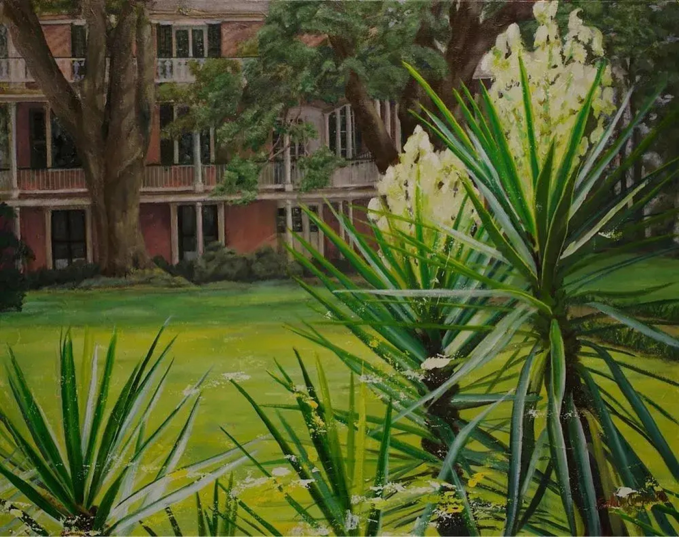 The Elms Bed and Breakfast