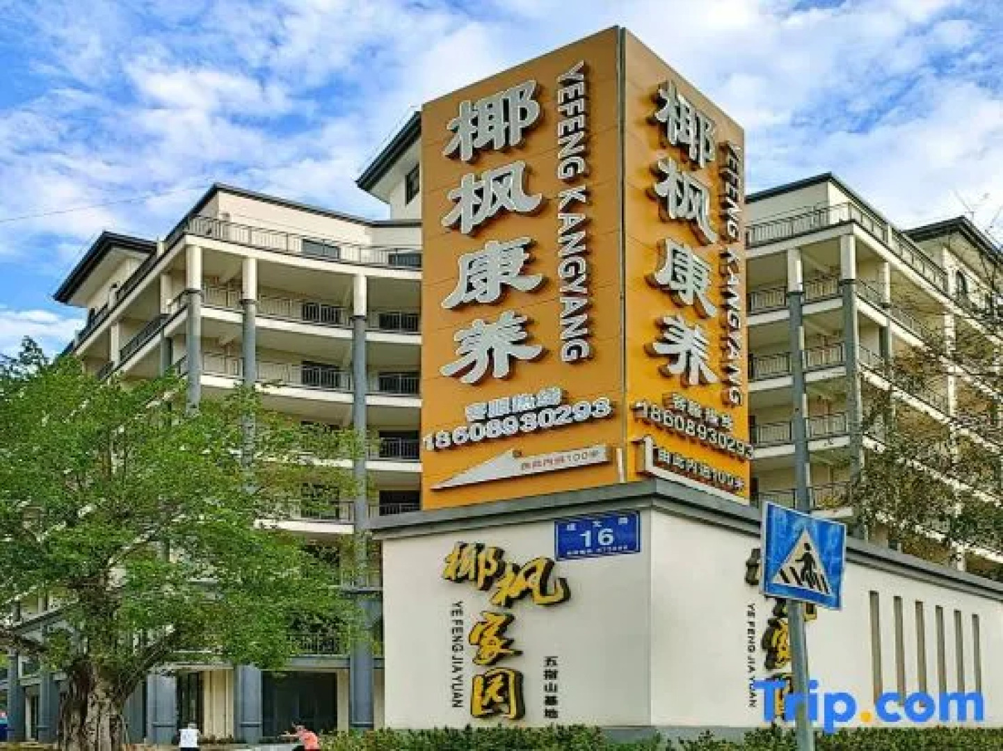 Coconut Maple Home Apartment