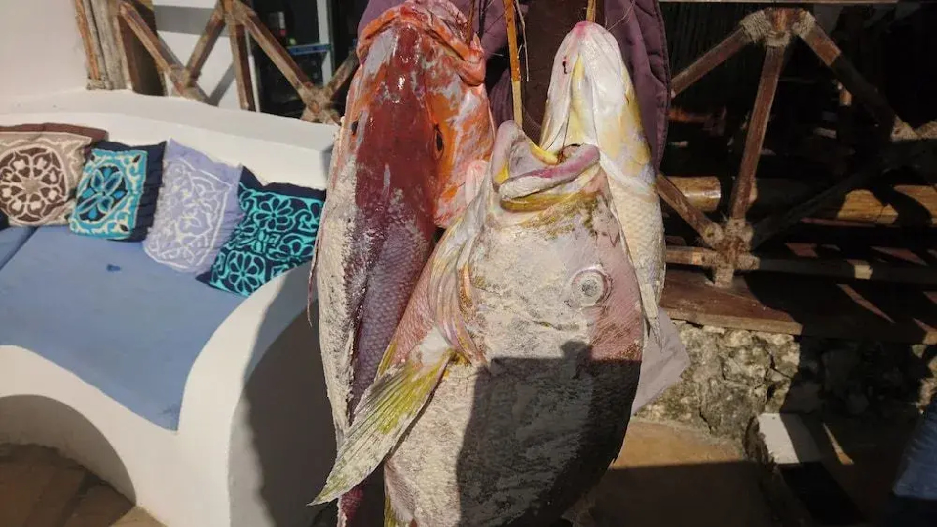 Zoi Retreat Hotel Zanzibar