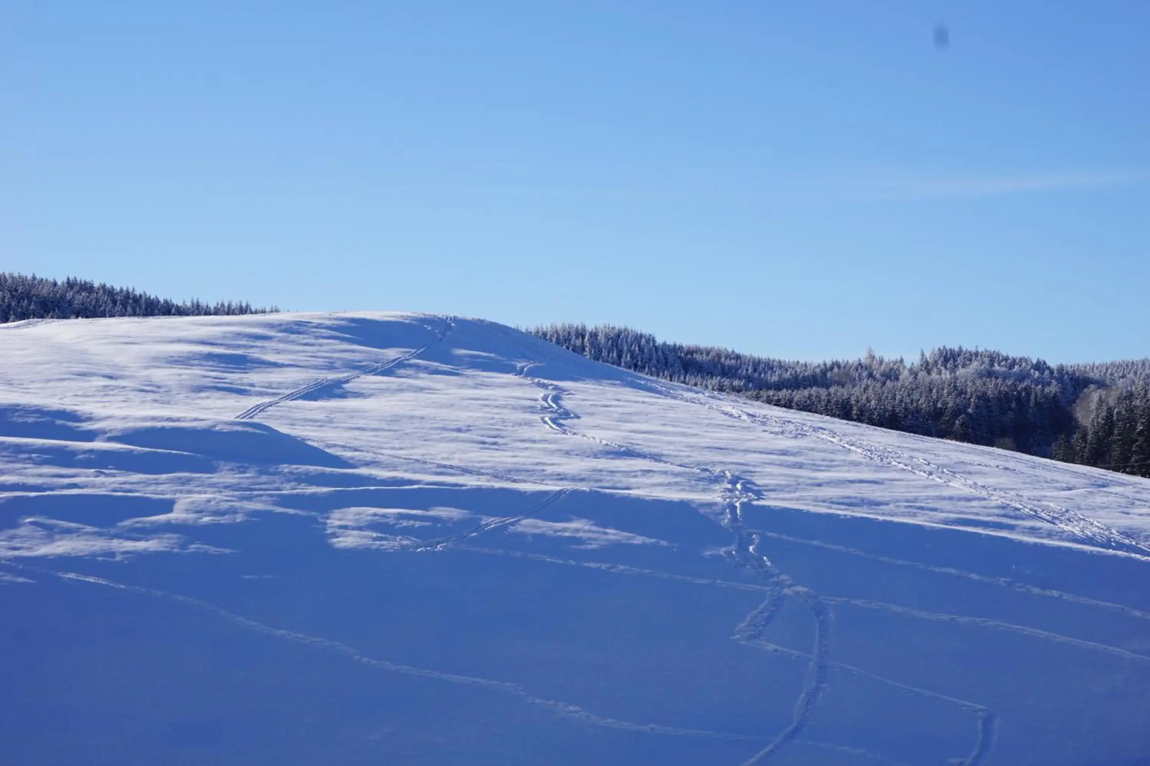 Wanderlust - Thüringer Wald, Rennsteig, Finsterbergen