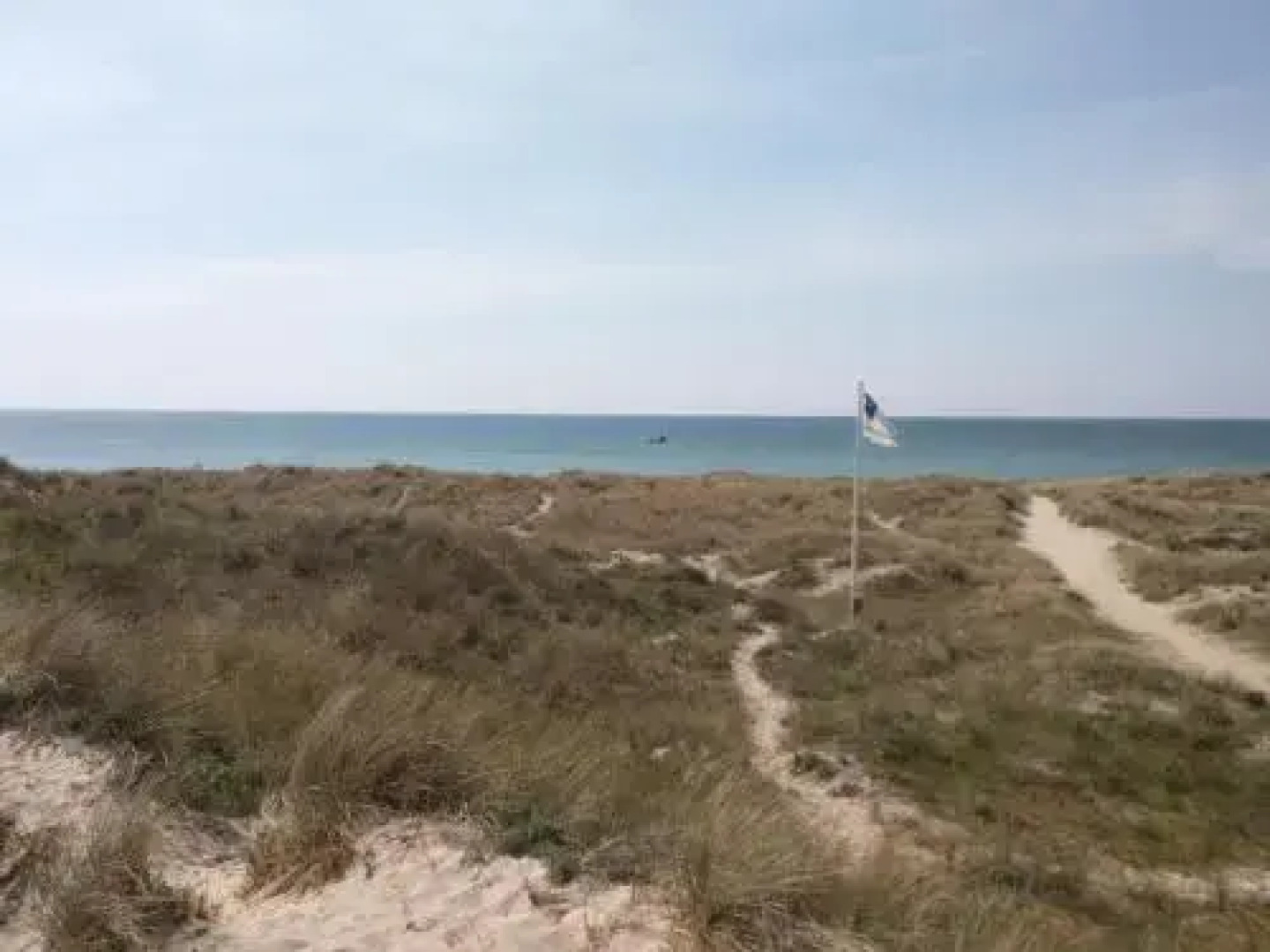 Home Apartment - Havnegade