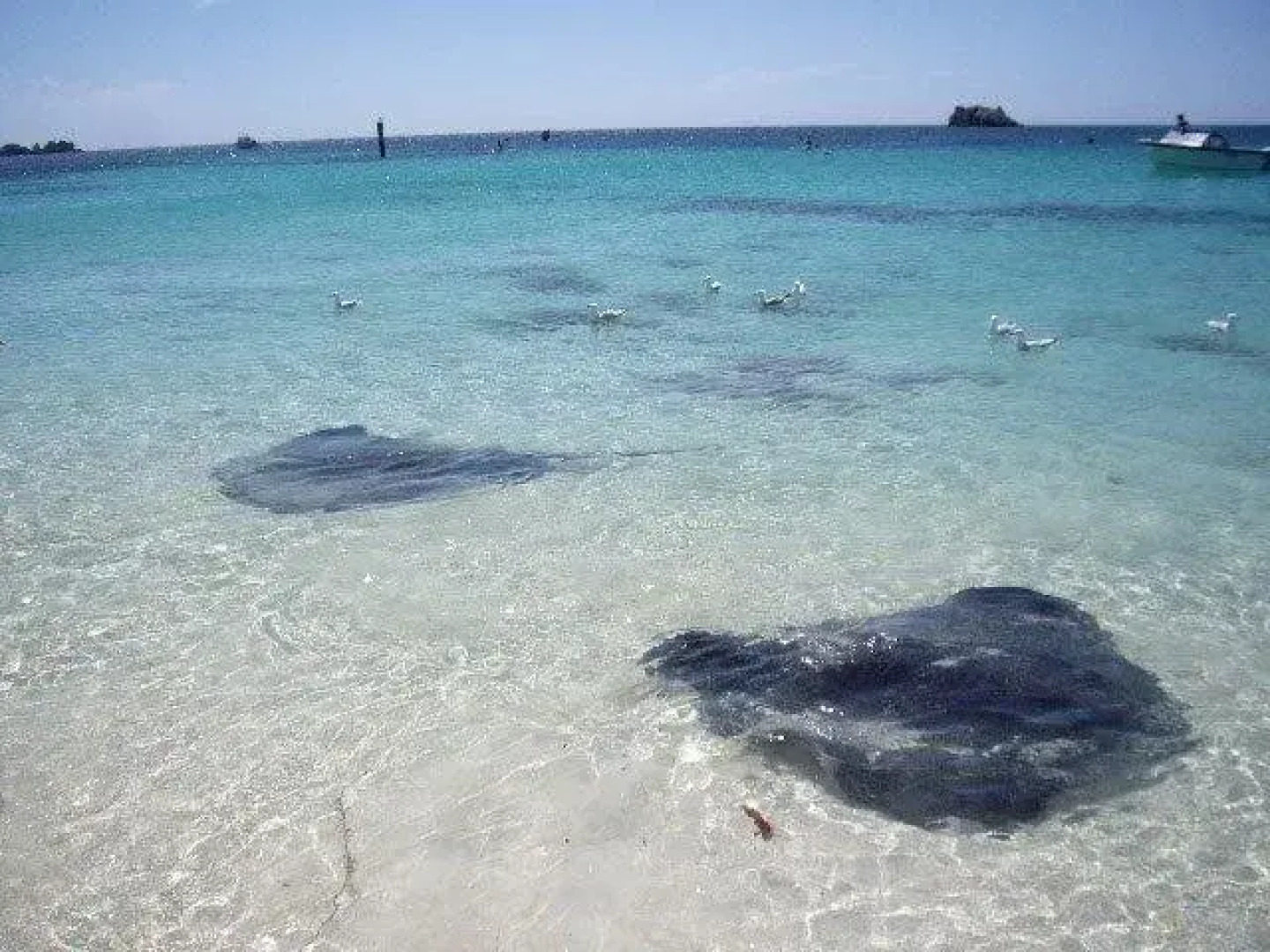 Baywatch Manor Augusta