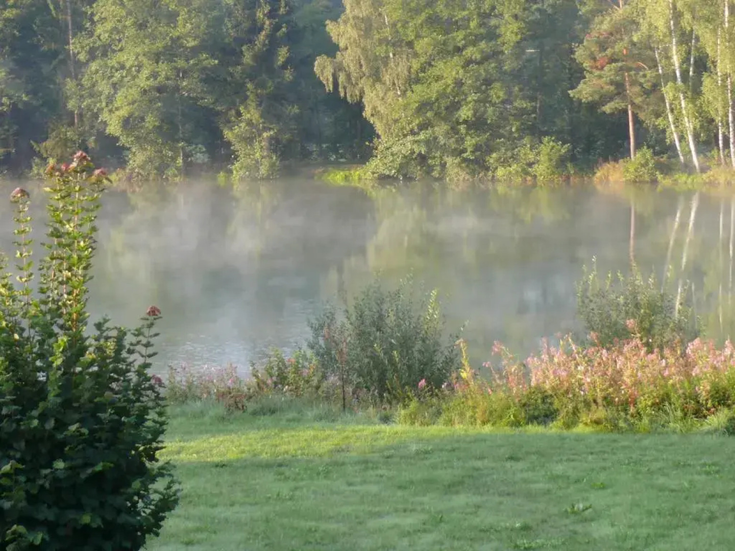 FeWo Falk 26 OG am See