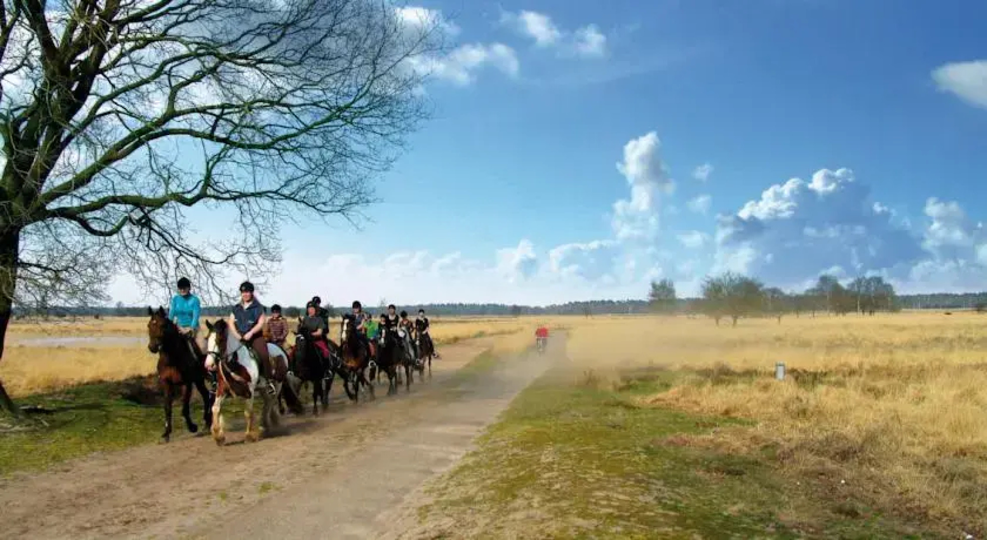 Vakantiepark De Reebok