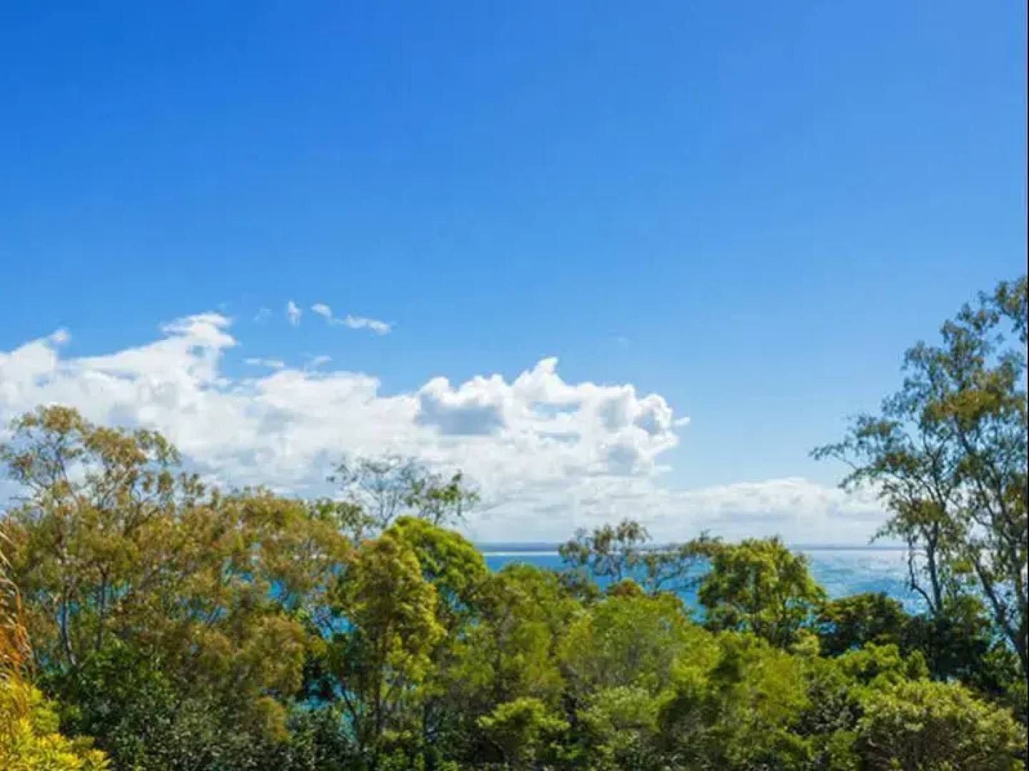 3 Dolphins Apartments