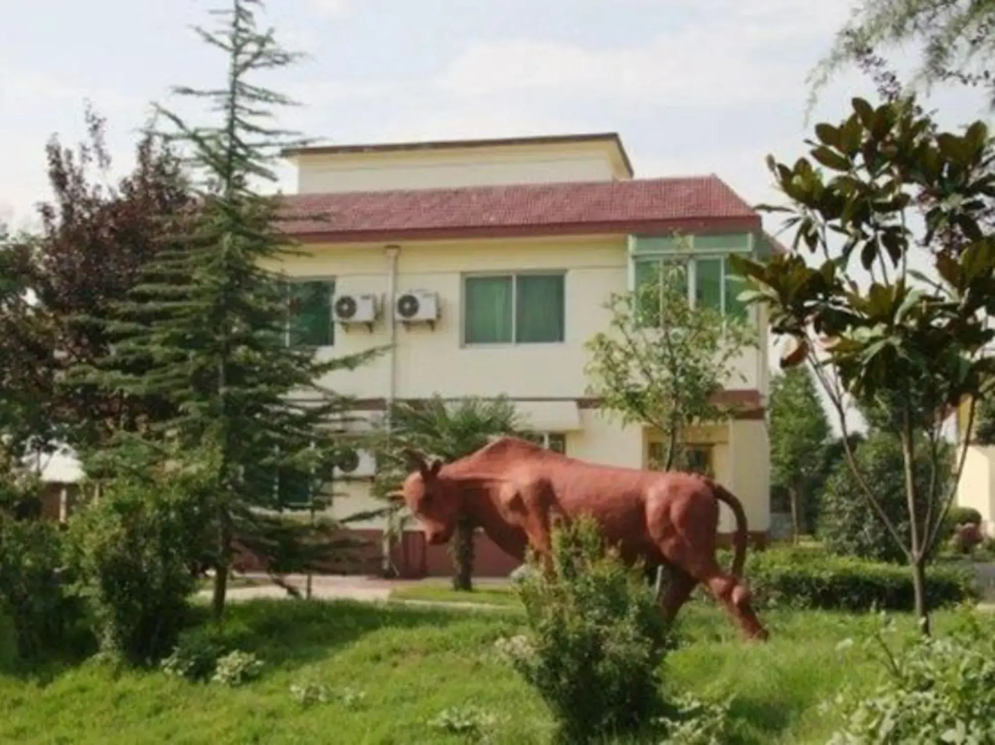 Shennong Resort