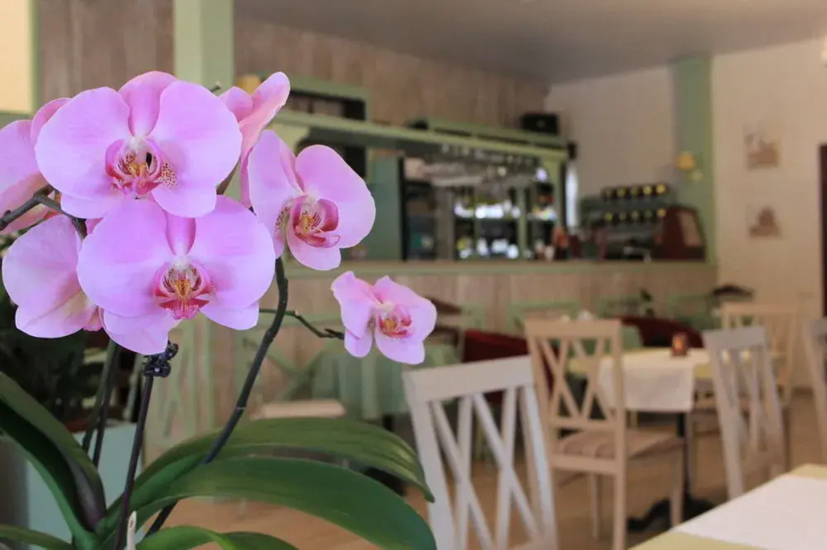 Seasons SPA Boutique Hotel