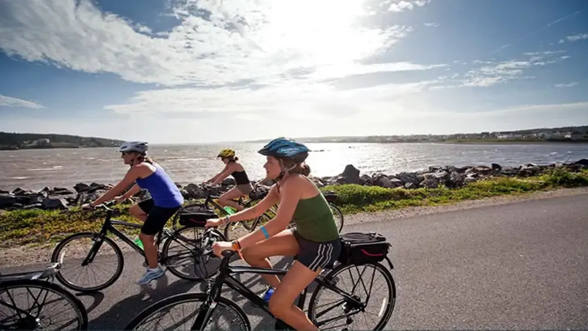 Sunshine Coast Treetop Wonderland