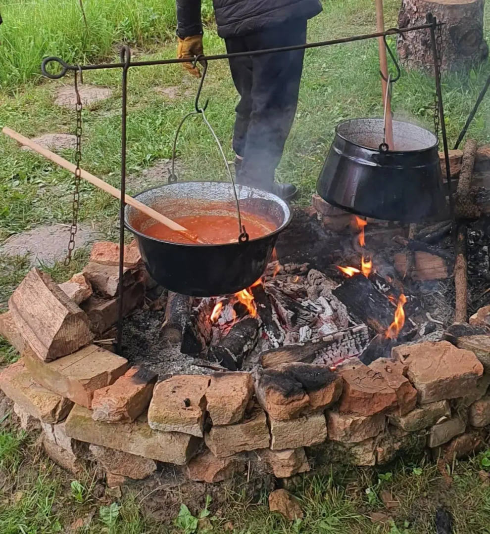 Koppany Pines Rewild Escapes - Hungarian Village Panzio