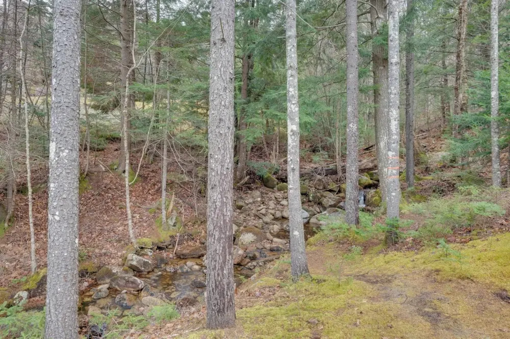 Cozy Bretton Woods Ski-in/ski-out Condo w/ Deck!