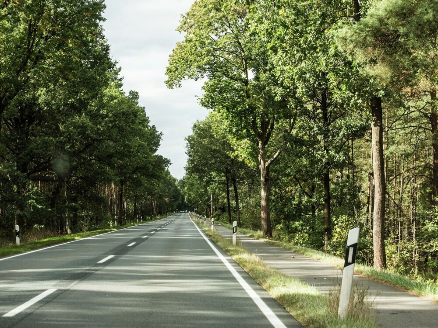 Quaint Apartment in Celle near Forest