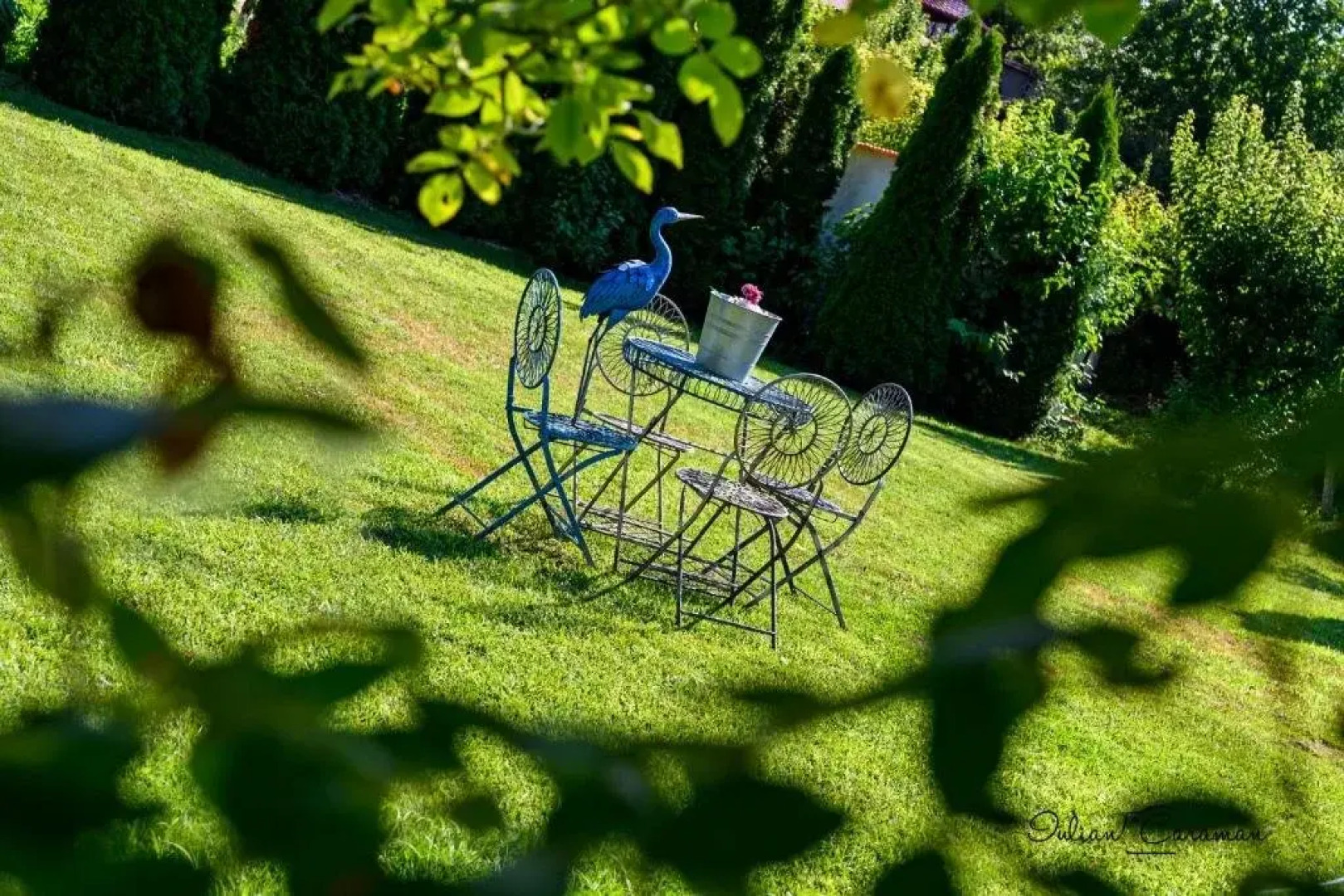 Stiuca Schioapa Baltenii de Sus