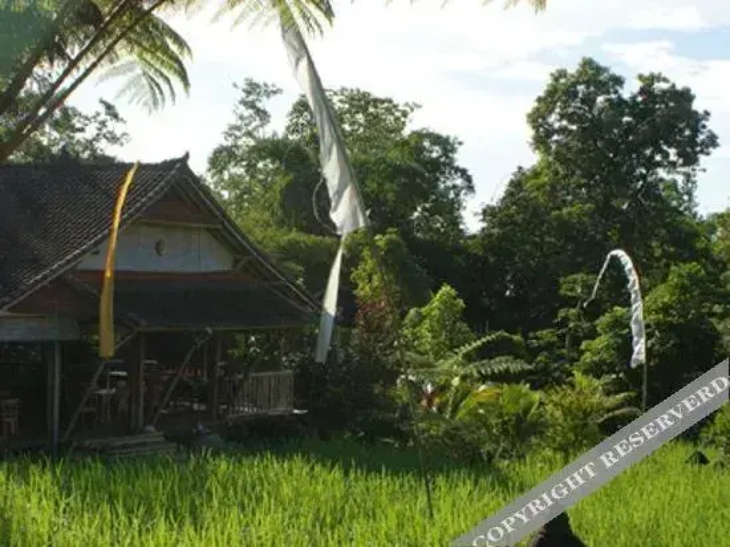 Prana Dewi Mountain Resort