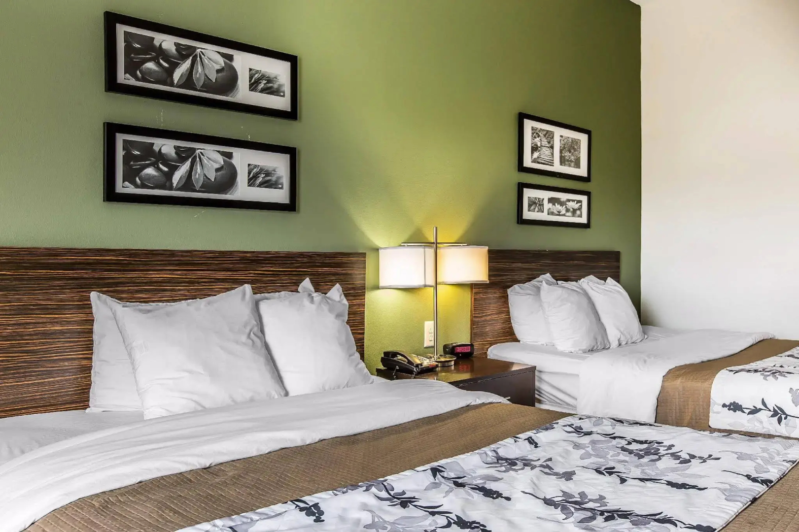Sleep Inn & Suites Mount Olive