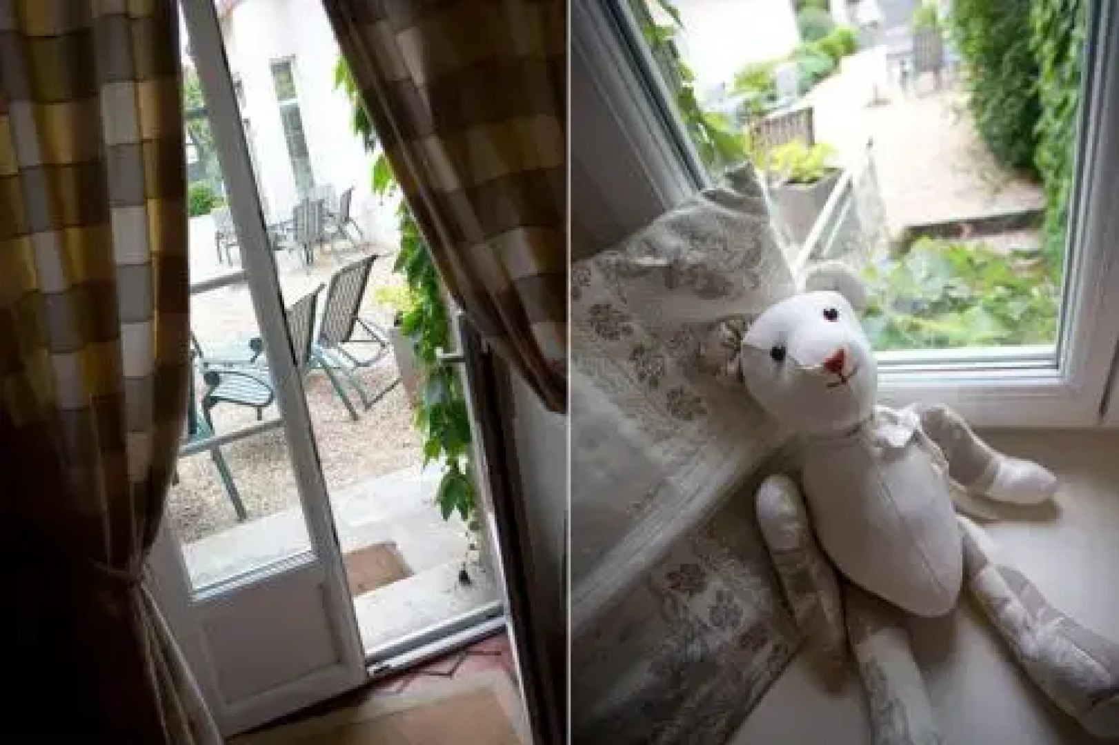 Domaine VIOLOT-GUILLEMARD