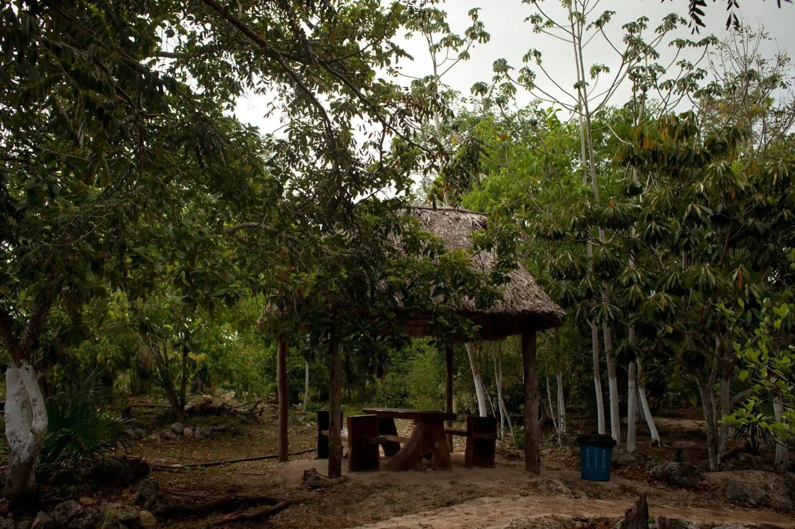 Casa Cenote Popol Vuh