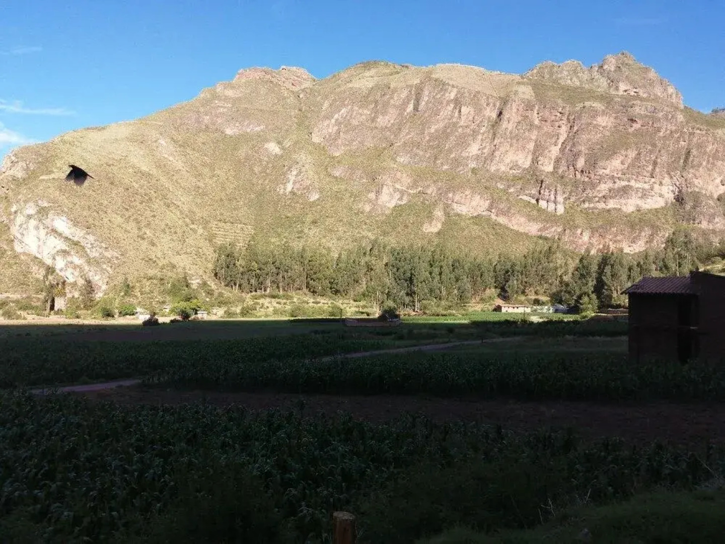 Mamá Cocha Pisac Lodge House